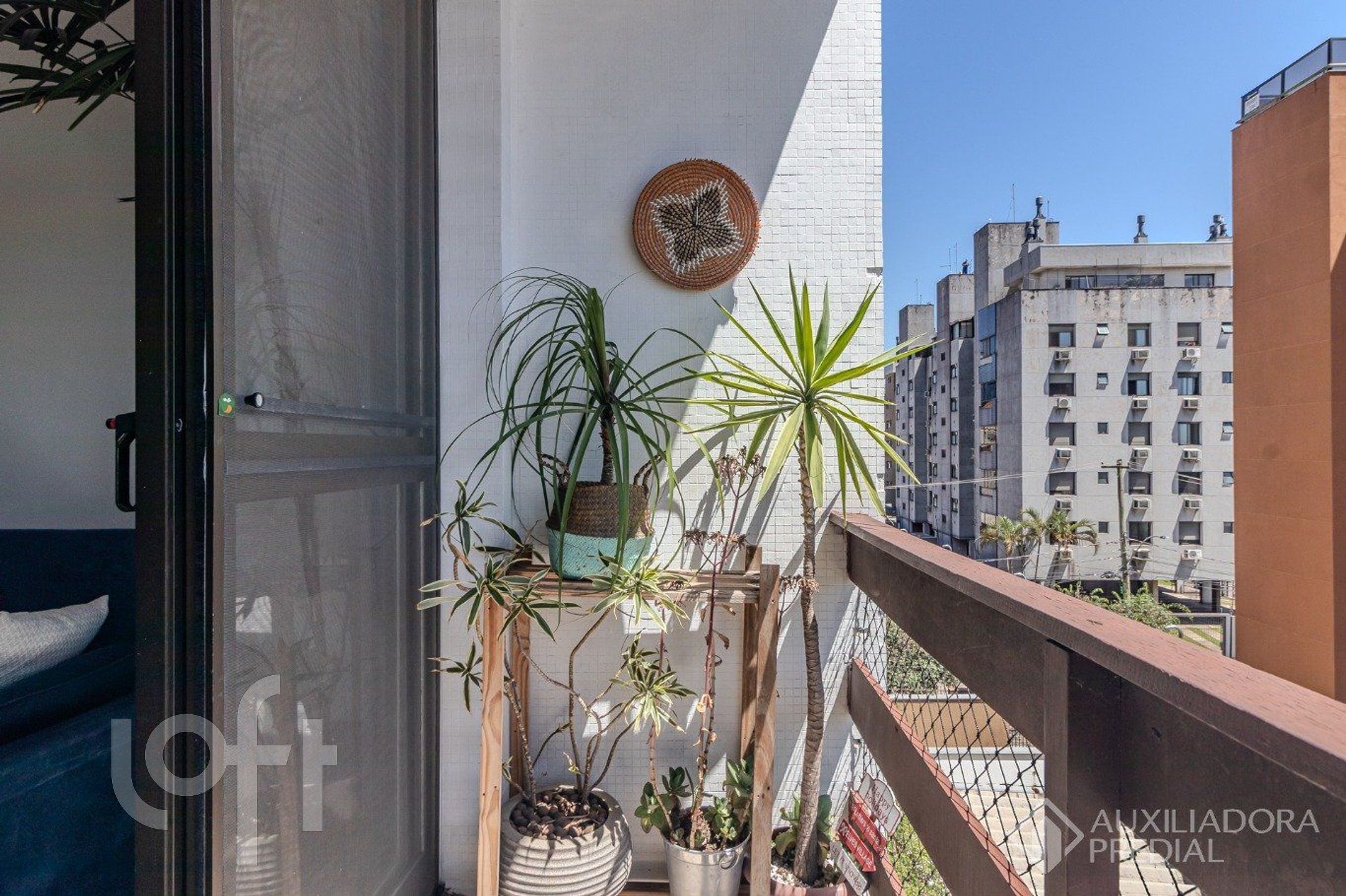 Imagem da propriedade 17