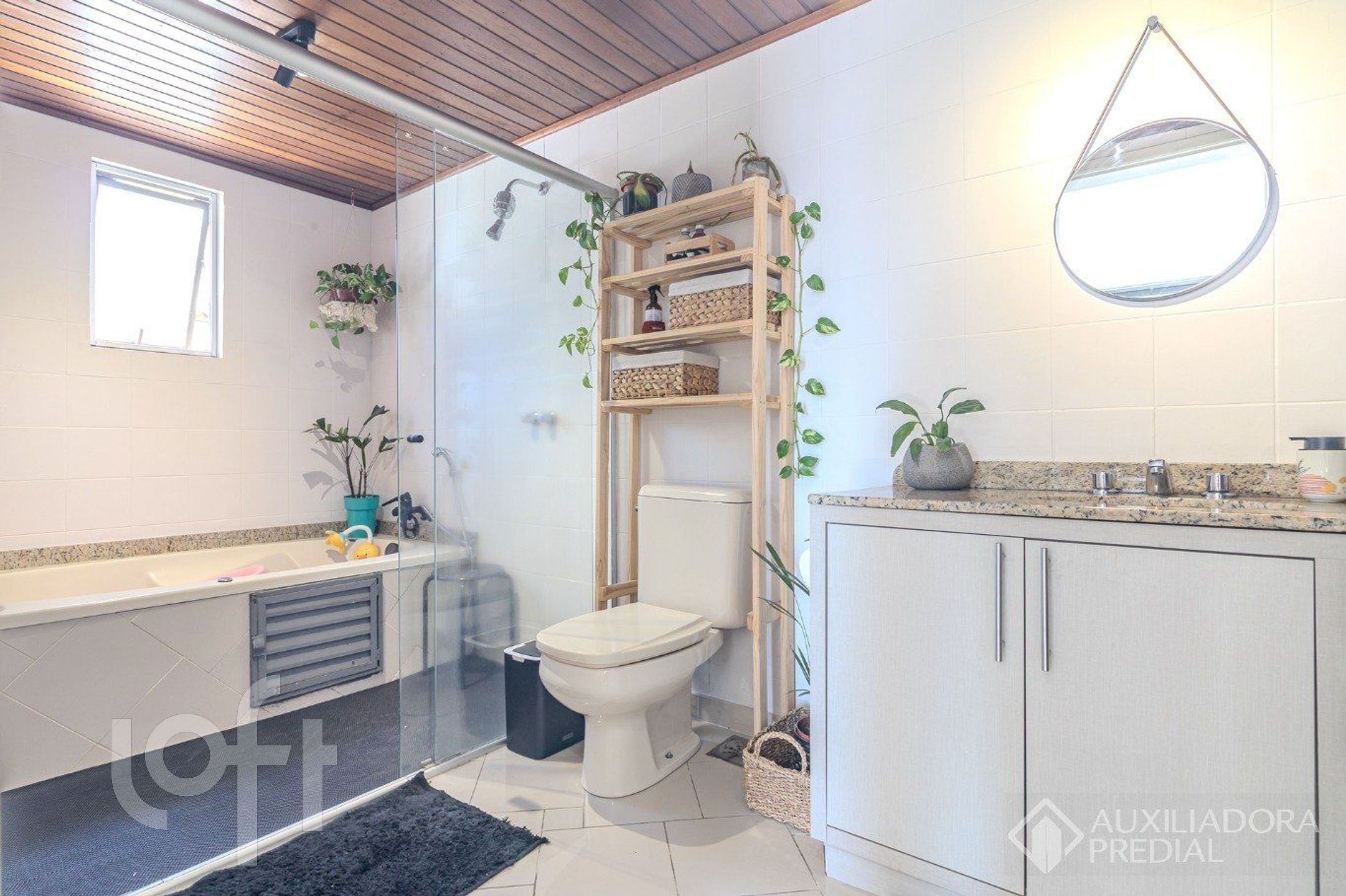 Imagem da propriedade 5