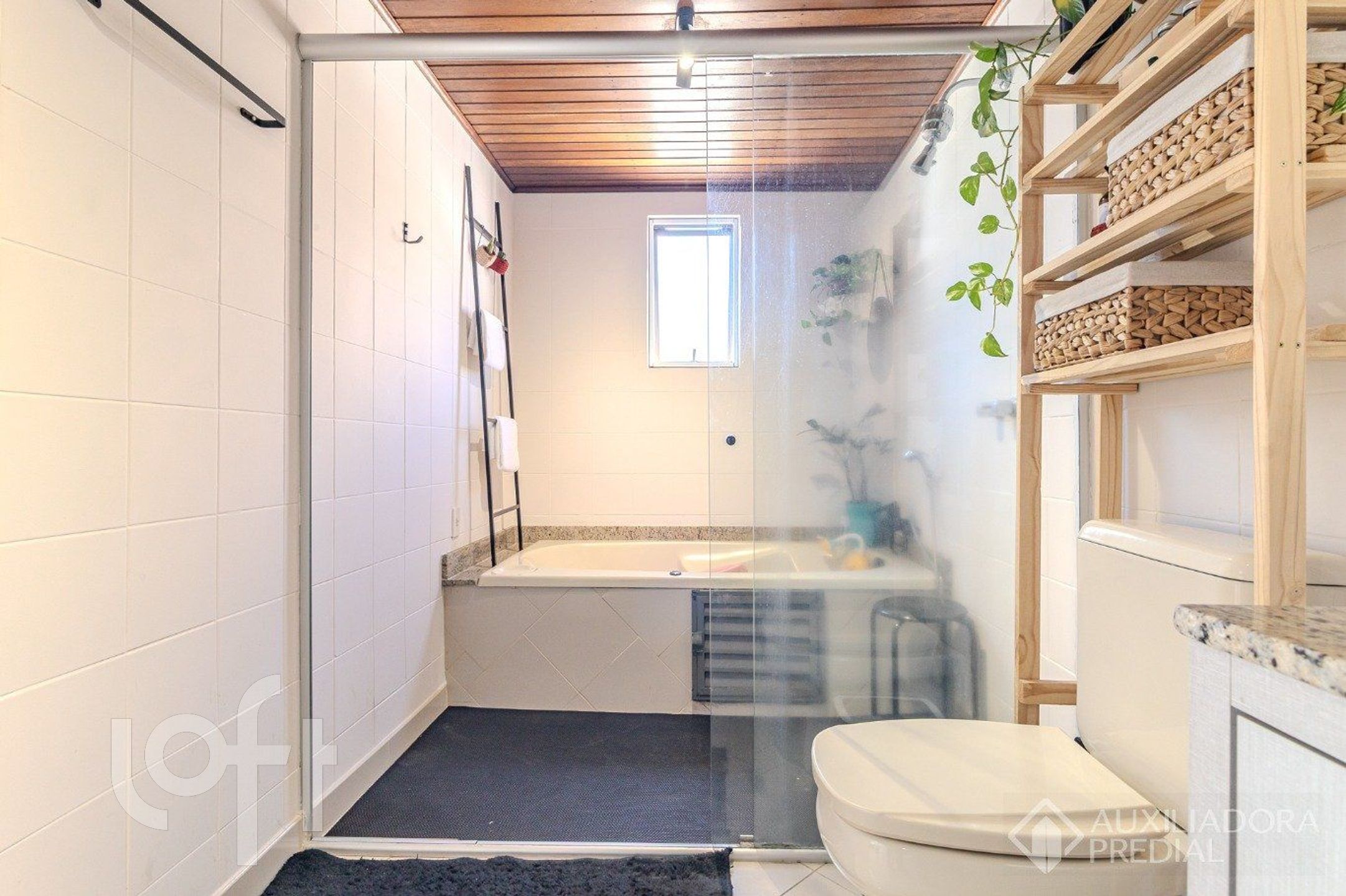 Imagem da propriedade 6