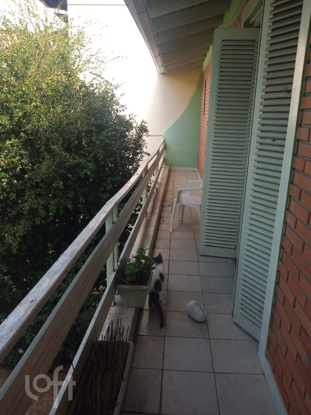 Imagem da propriedade 12