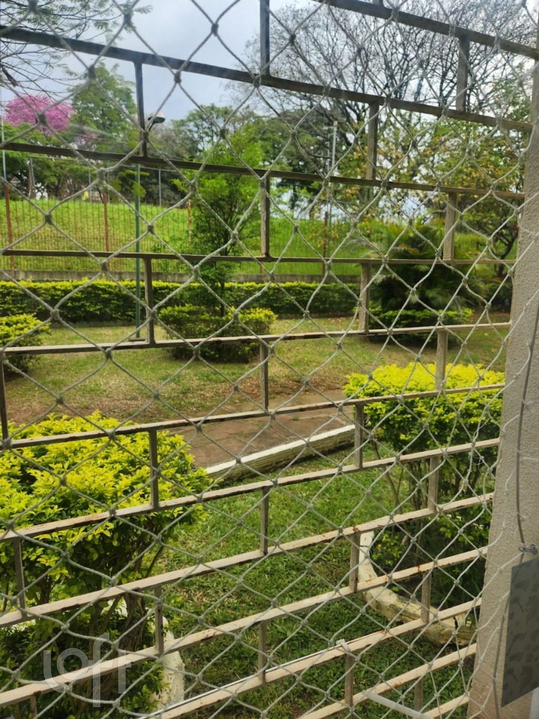 Imagem da propriedade 11