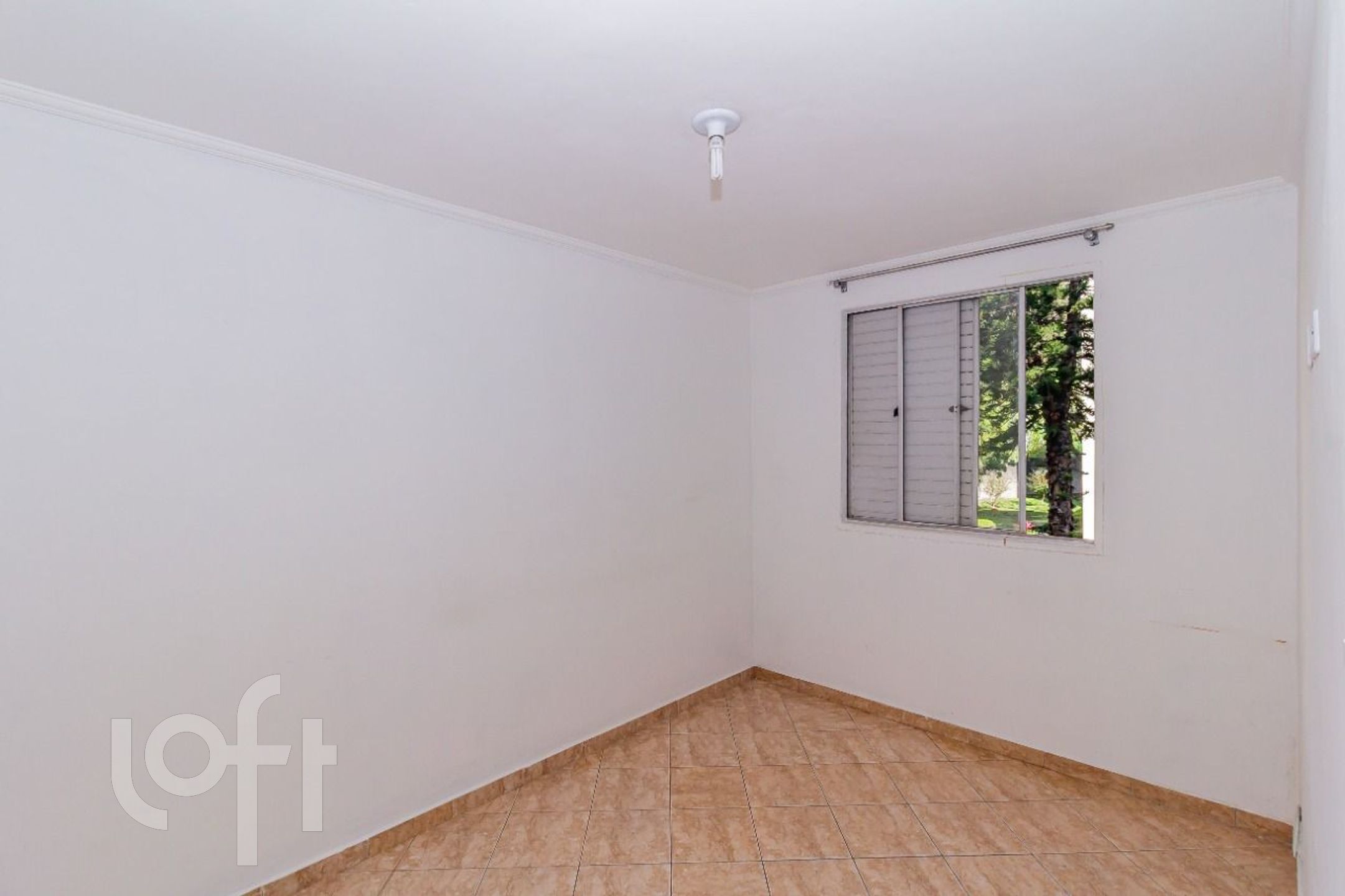 Imagem da propriedade PUjdbh03 6