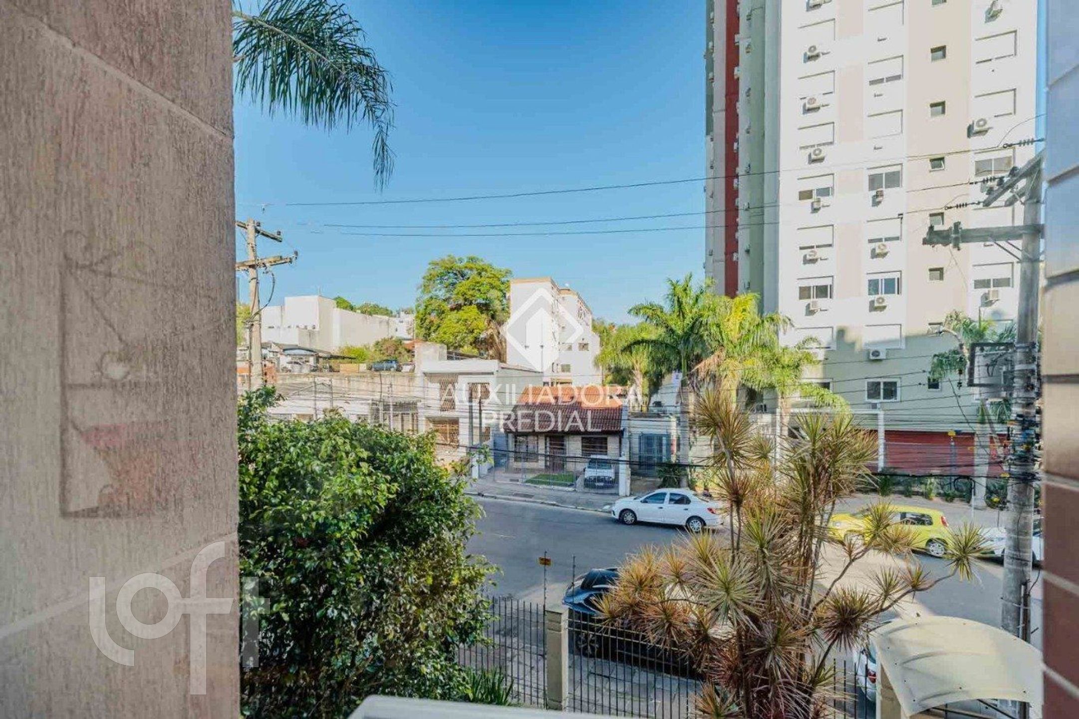 Imagem da propriedade 19