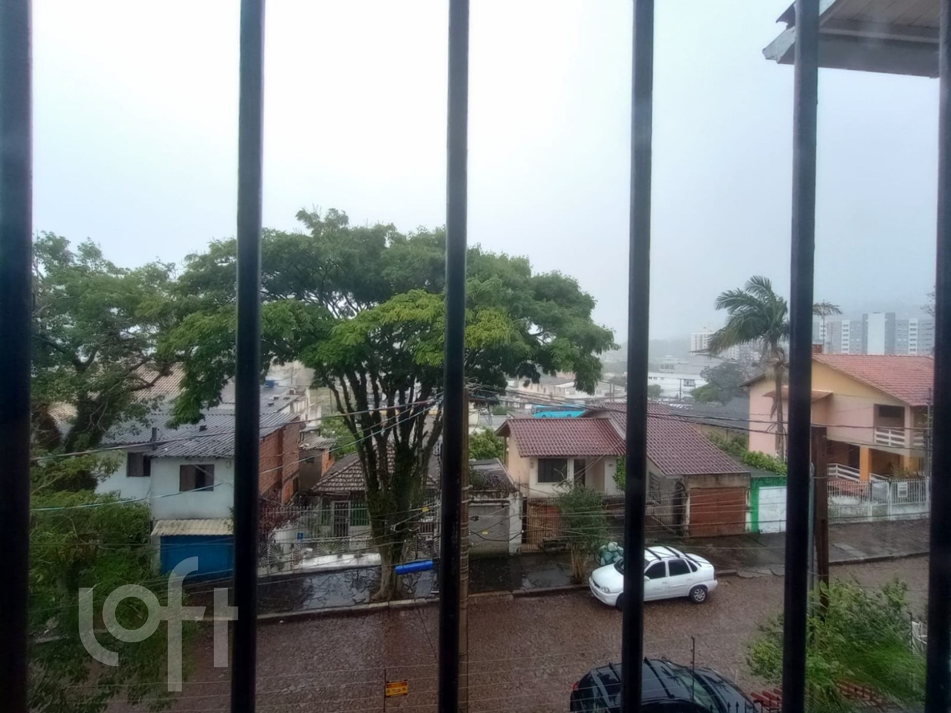 Imagem da propriedade 13