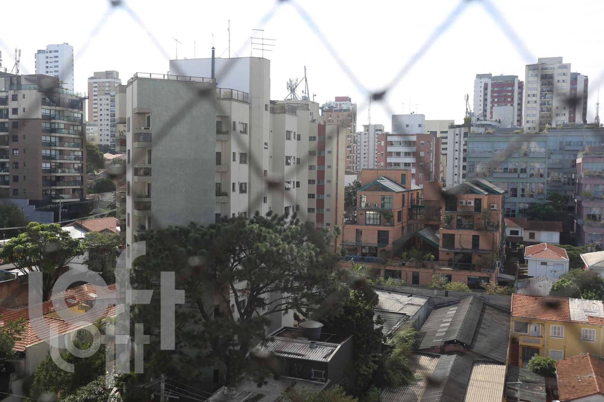 Imagem da propriedade 42