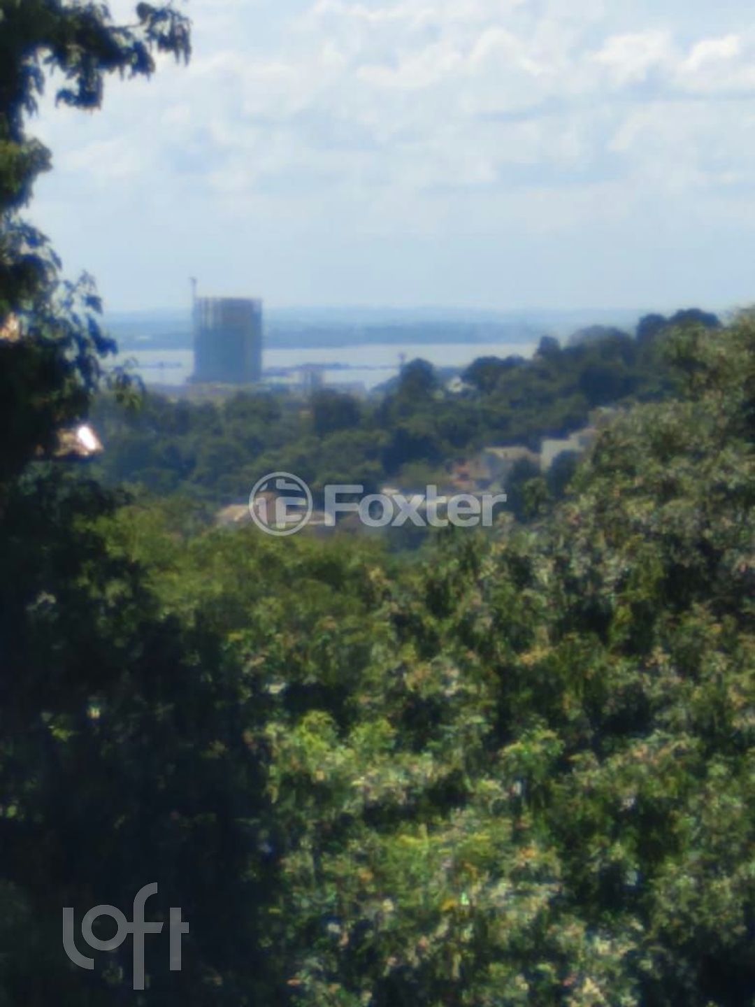 Imagem da propriedade 43