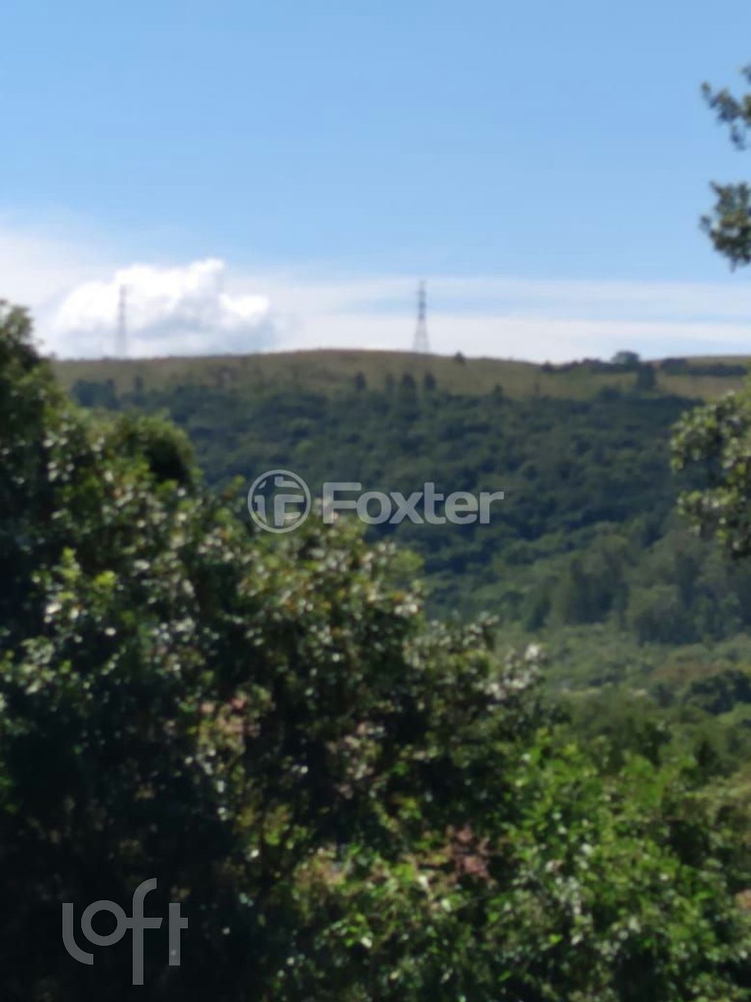 Imagem da propriedade 46