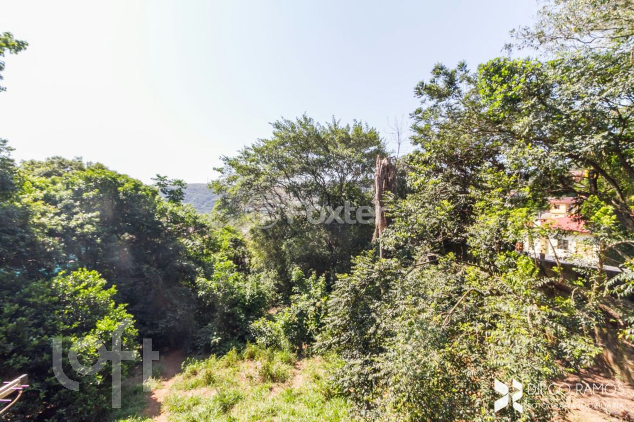 Imagem da propriedade 11