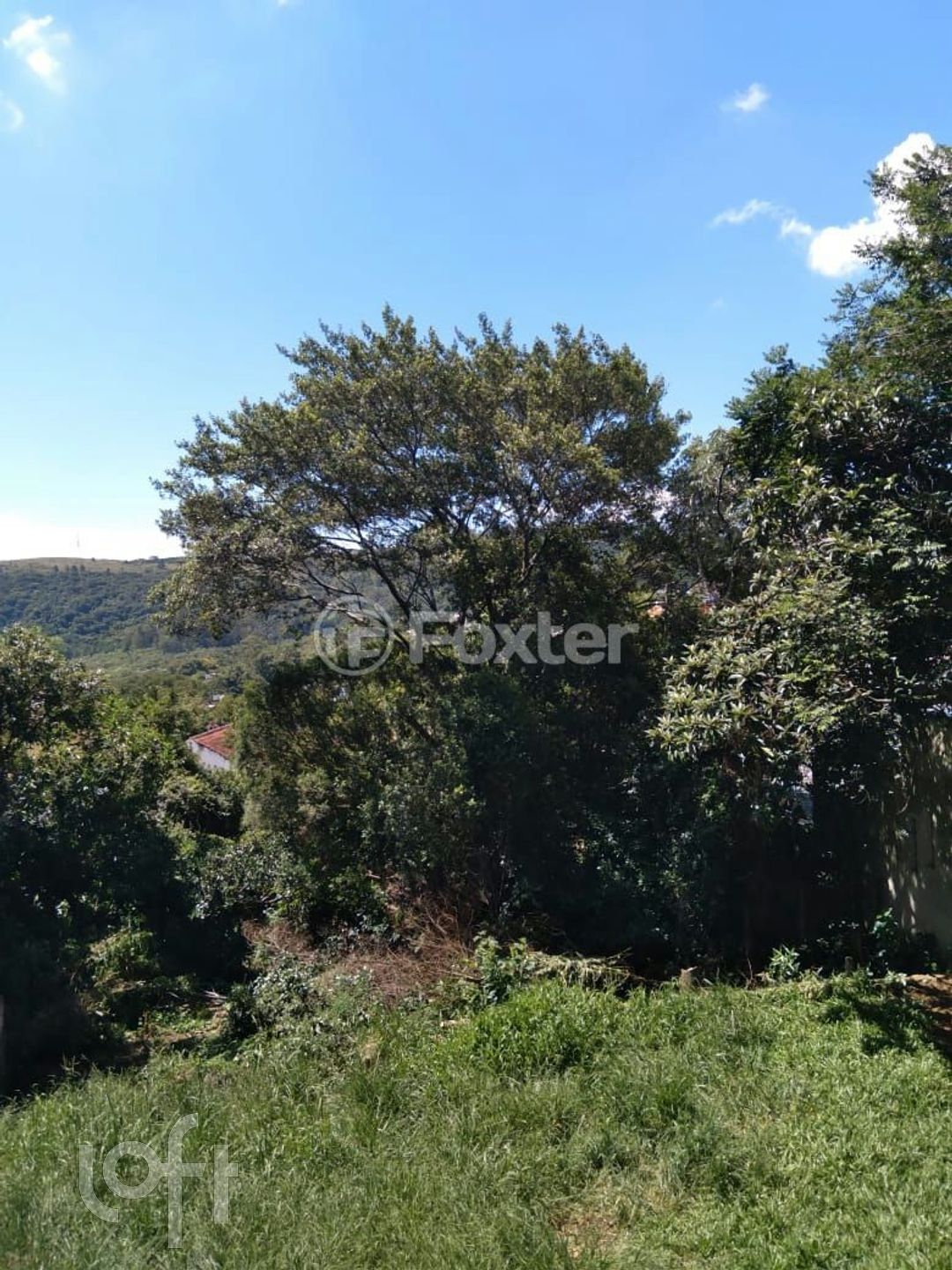 Imagem da propriedade 45