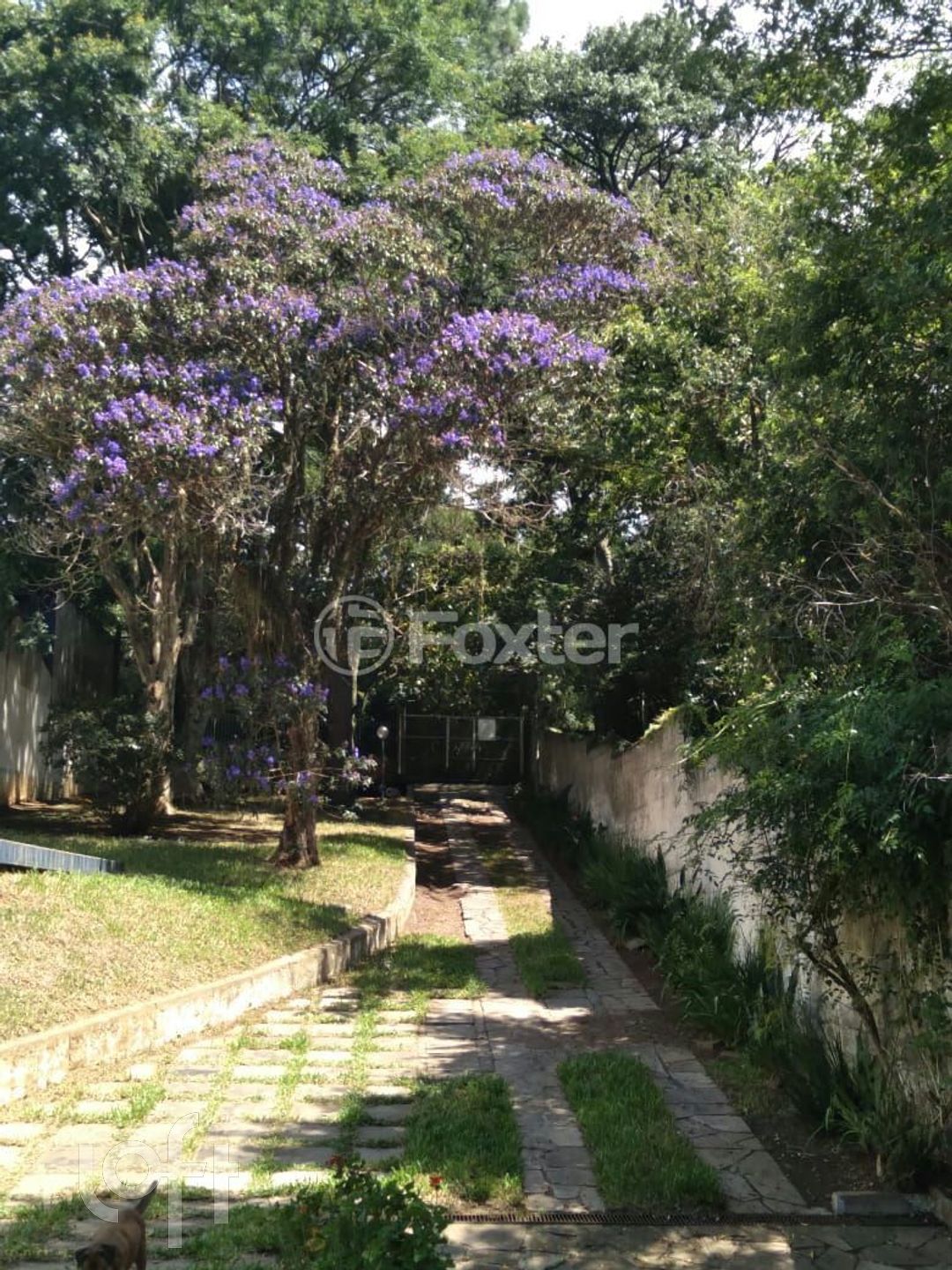 Imagem da propriedade 44