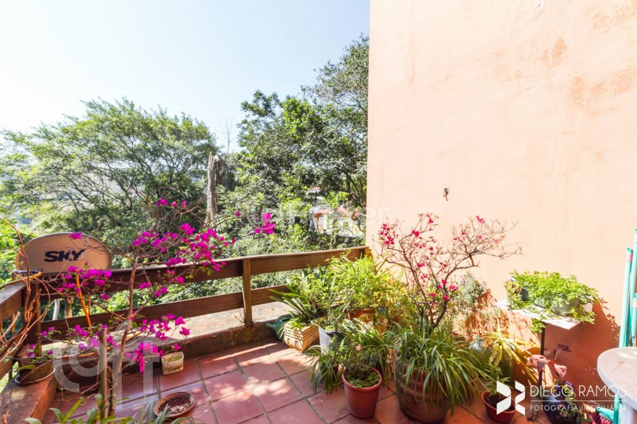 Imagem da propriedade 9