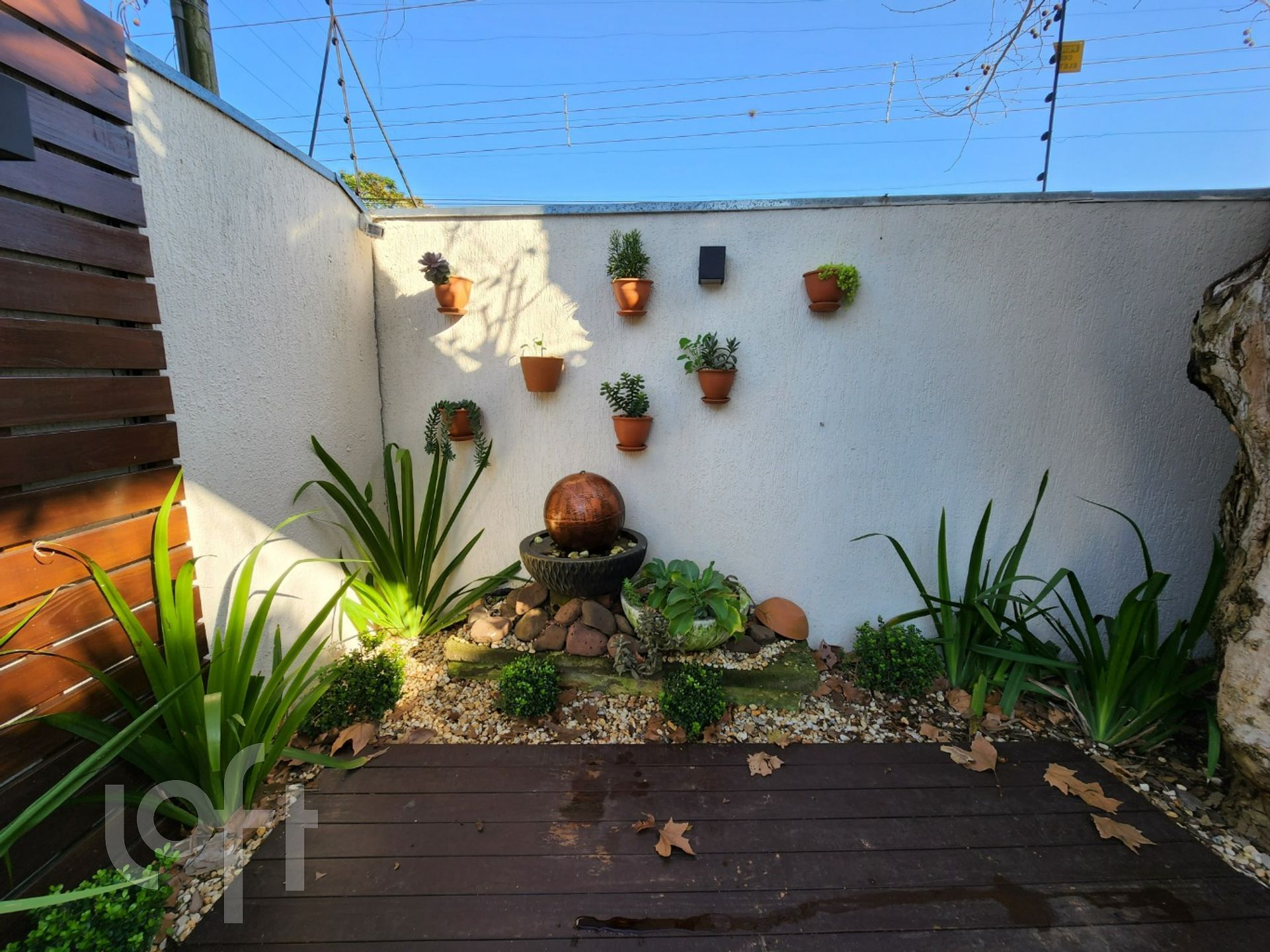 Imagem da propriedade 55