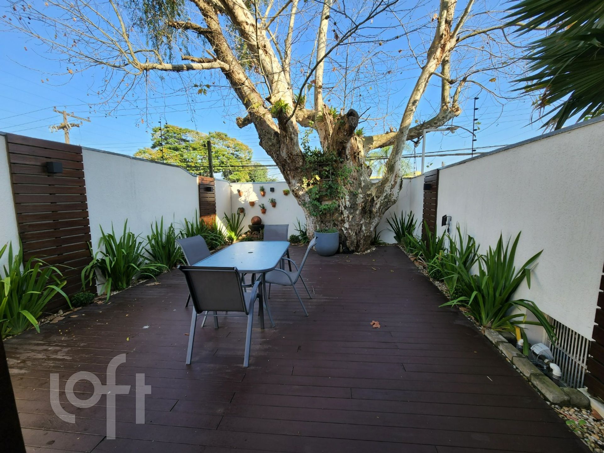 Imagem da propriedade 54