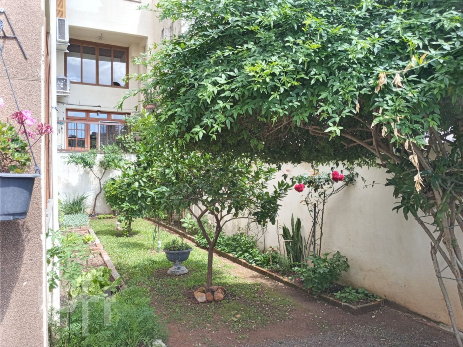 Imagem da propriedade 9