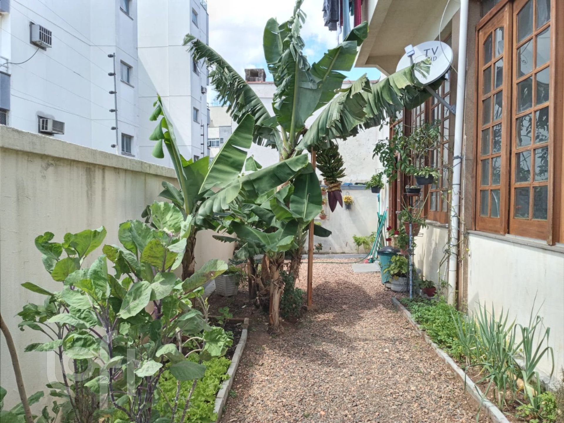 Imagem da propriedade 3