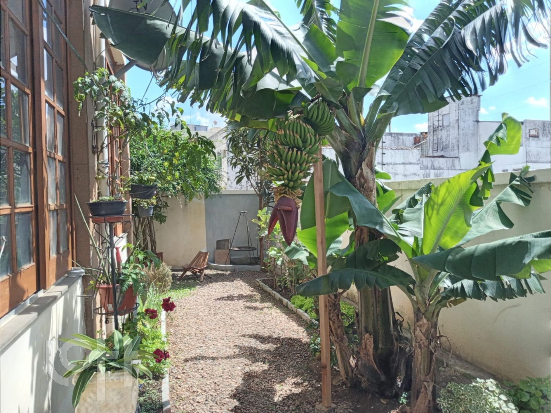 Imagem da propriedade 7