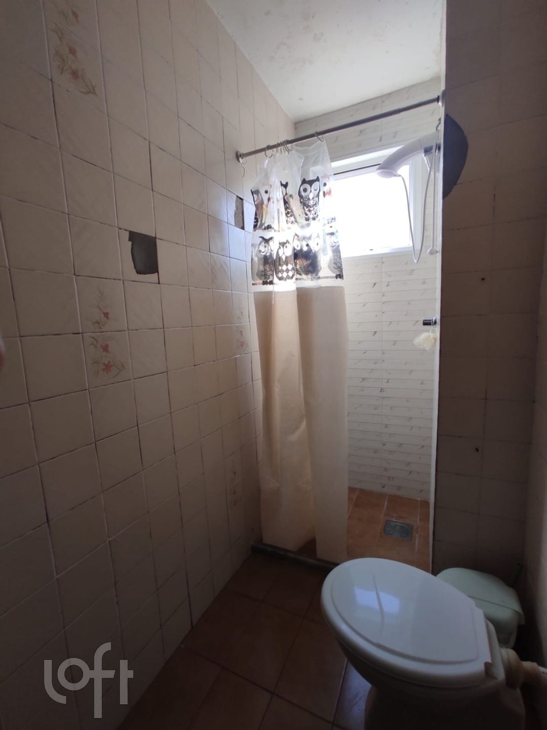 Imagem da propriedade 10