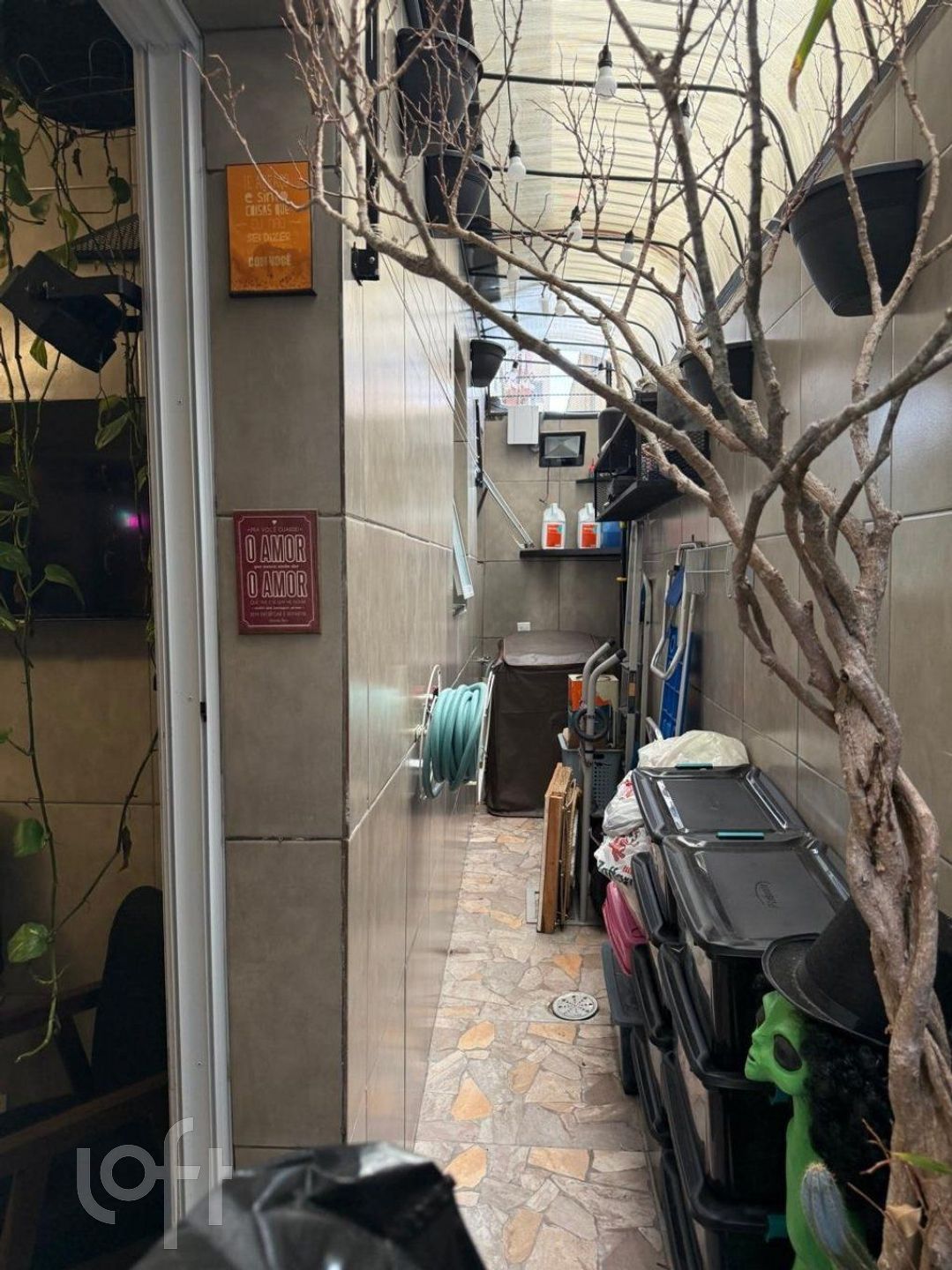 Imagem da propriedade 14