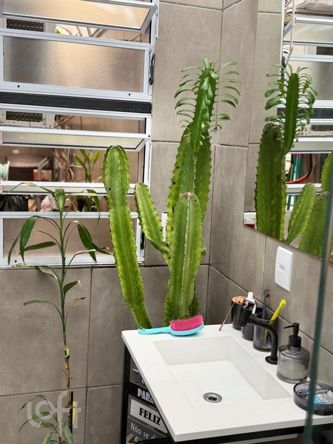 Imagem da propriedade 9