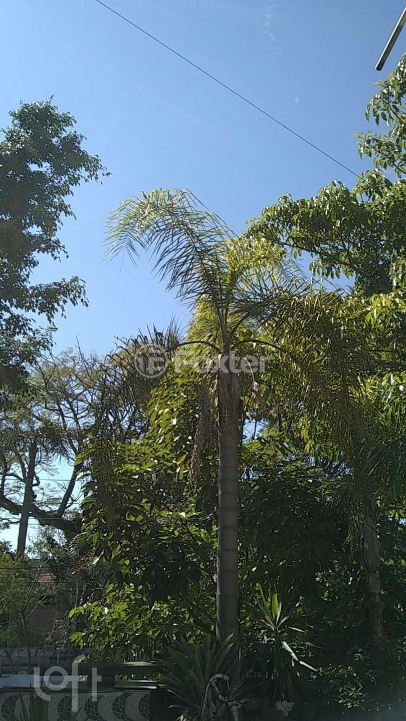 Imagem da propriedade 3