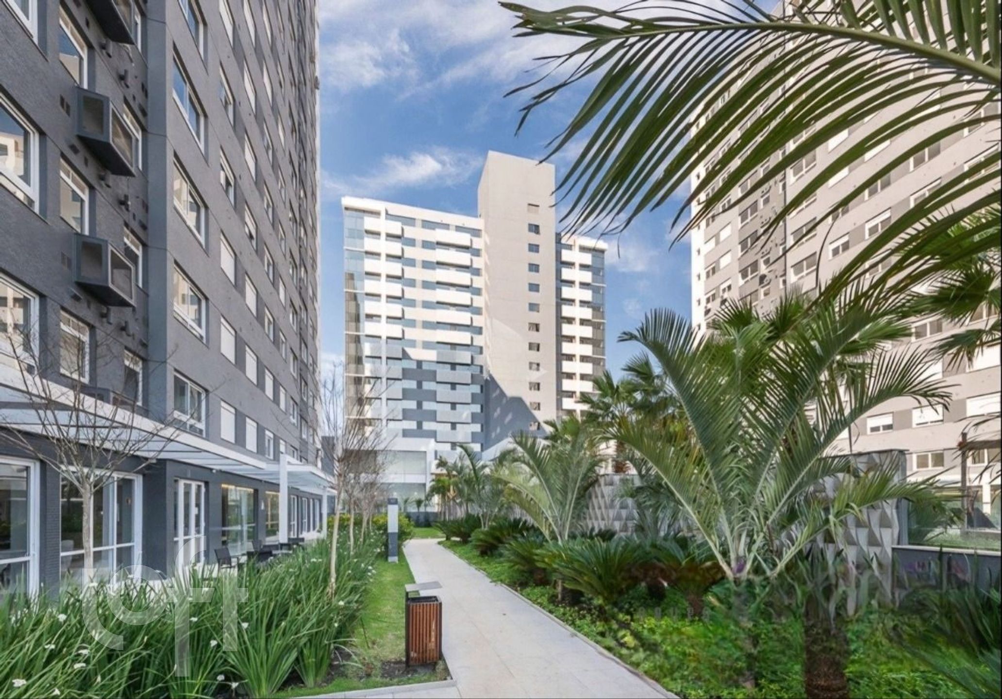 Imagem da propriedade 21