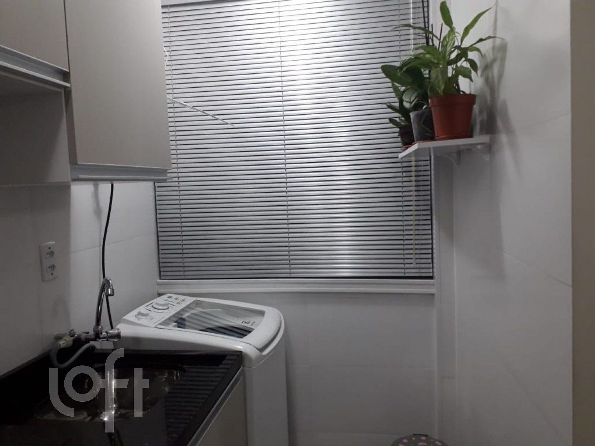 Imagem da propriedade 6