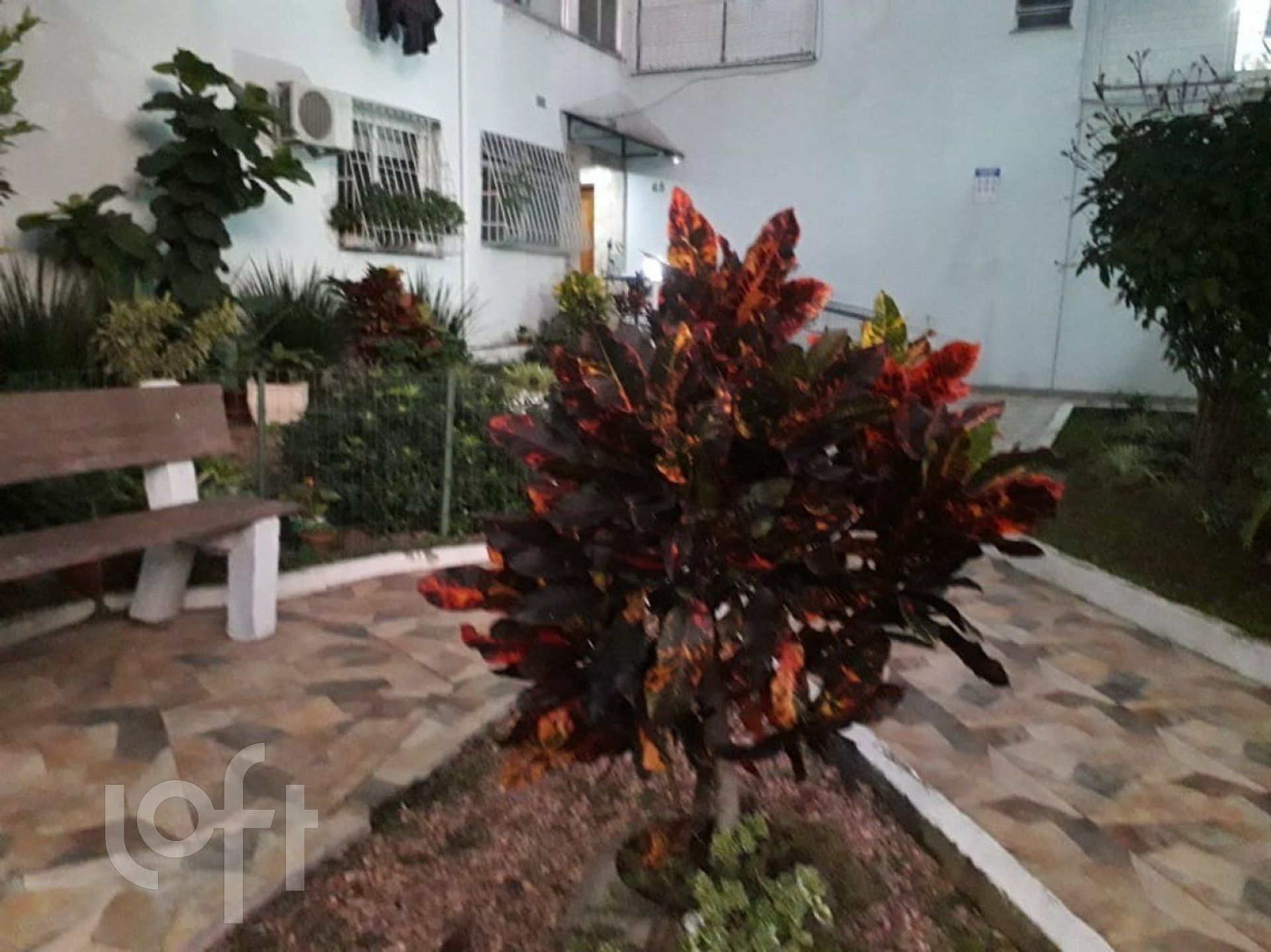 Imagem da propriedade 15