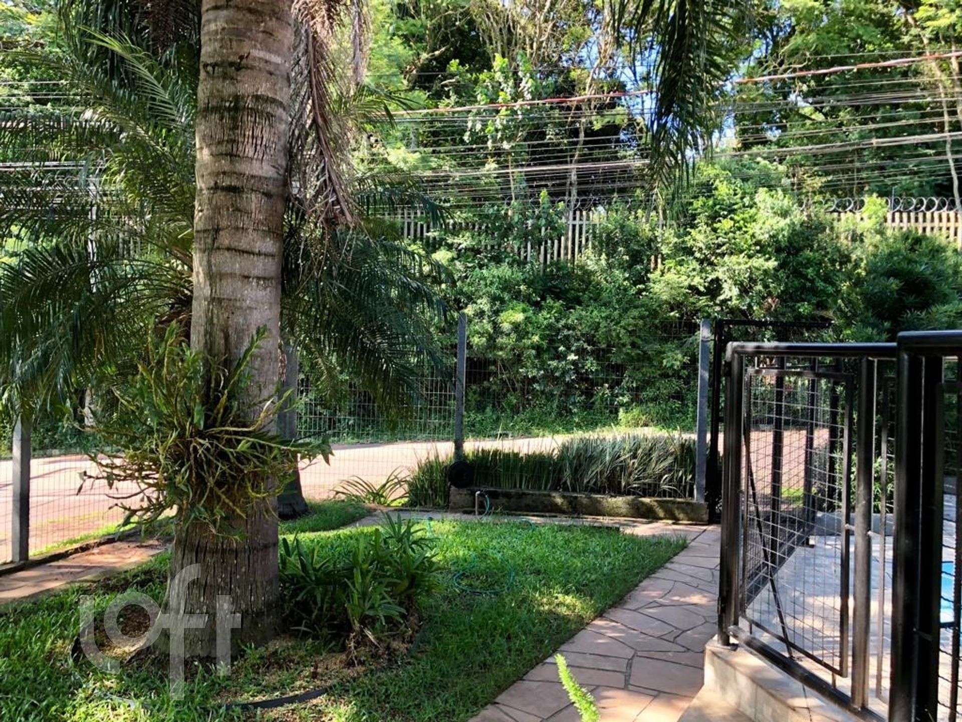 Imagem da propriedade 7