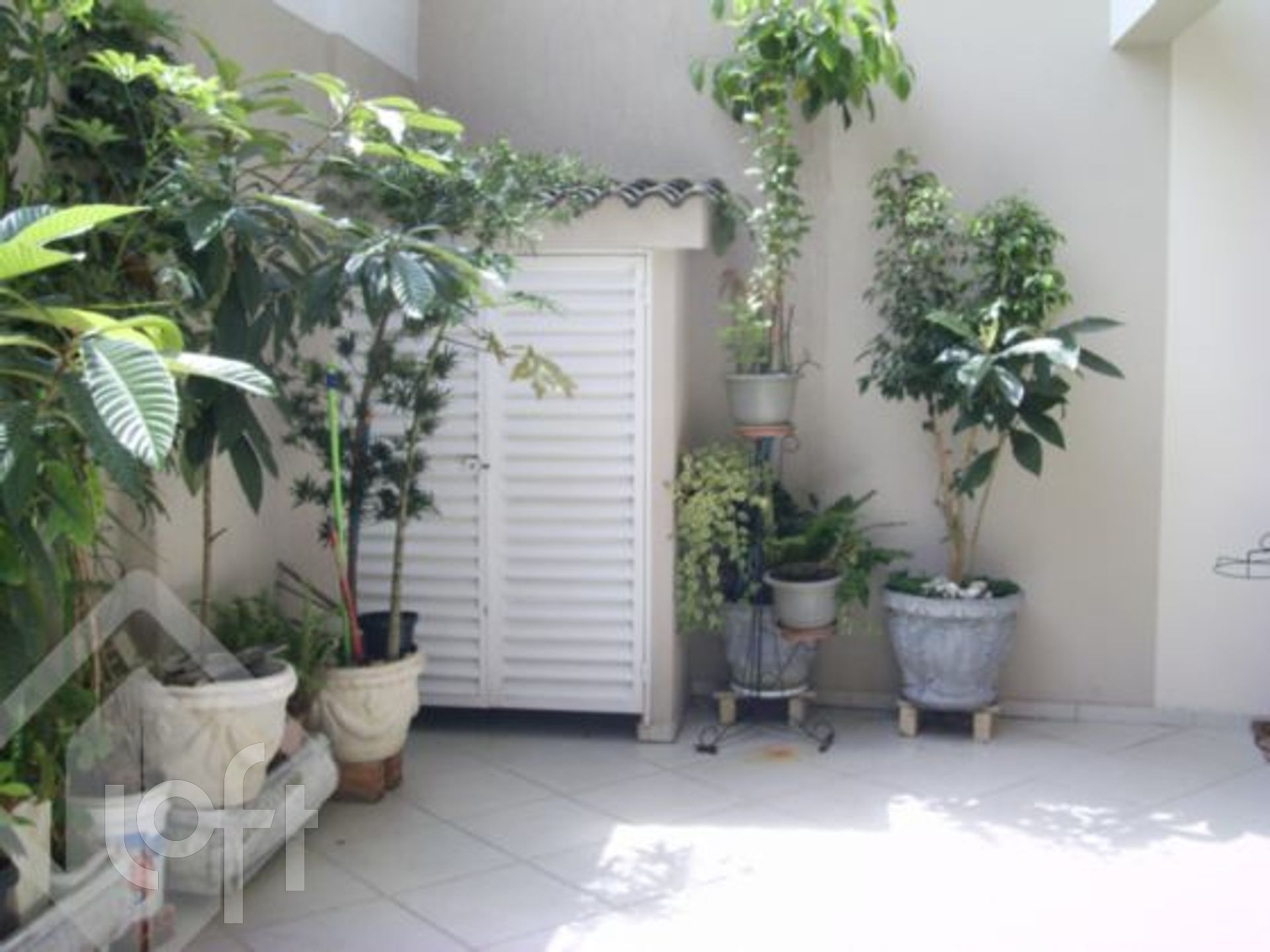 Imagem da propriedade 16