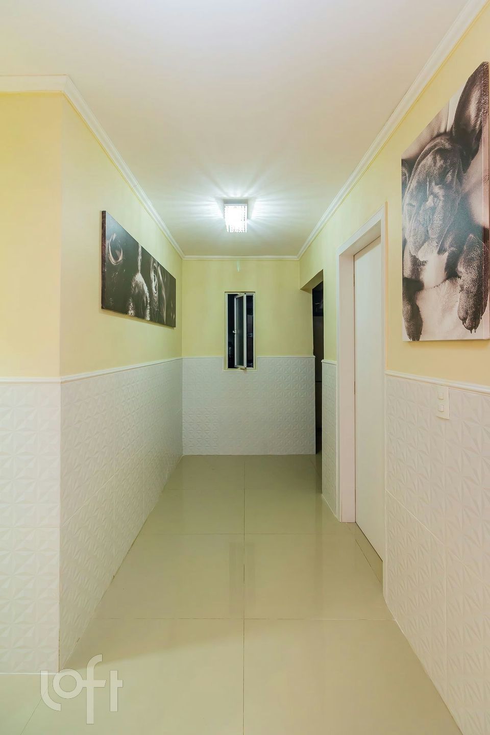 Imagem da propriedade 11