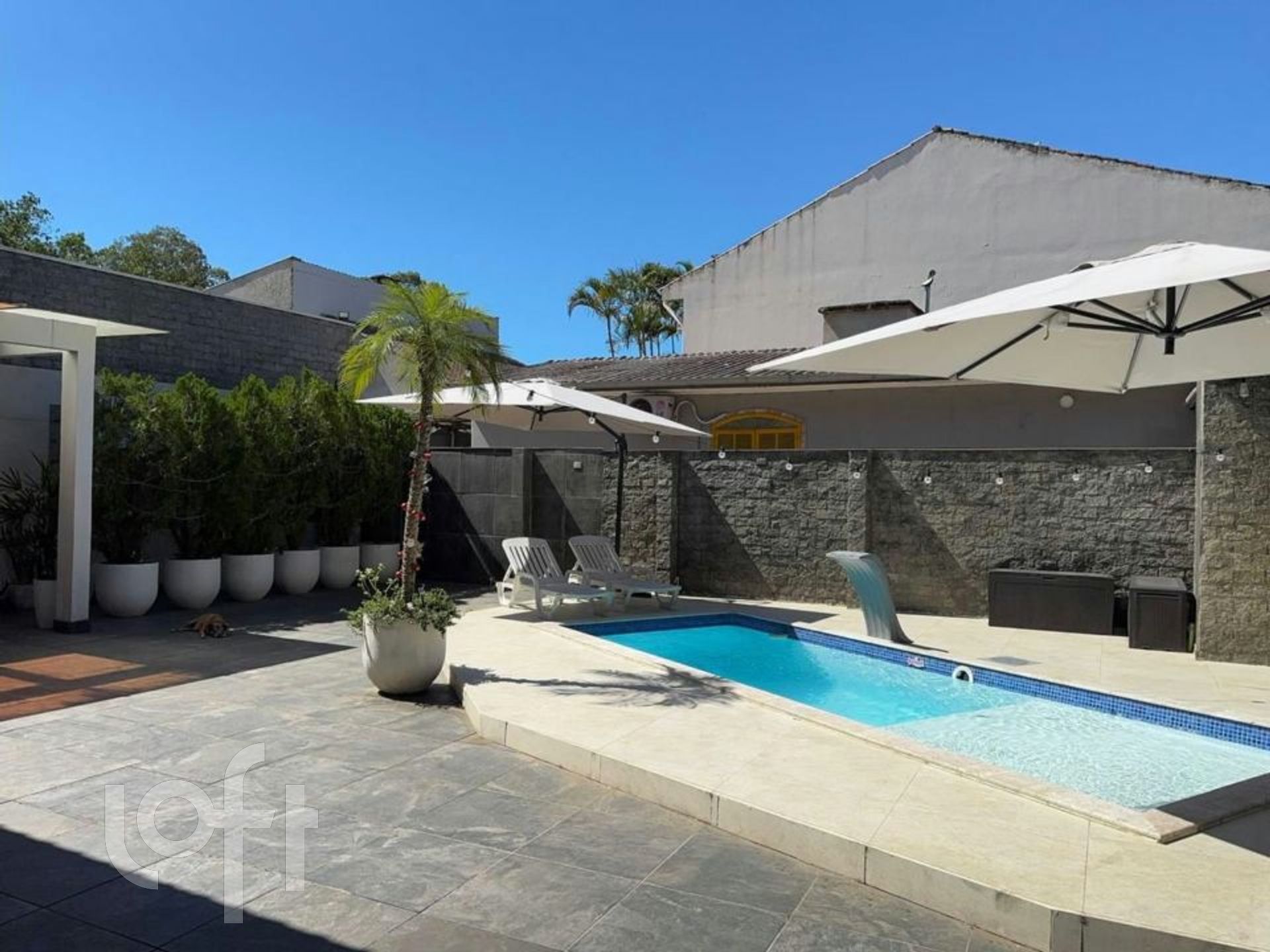 Imagem da propriedade 36