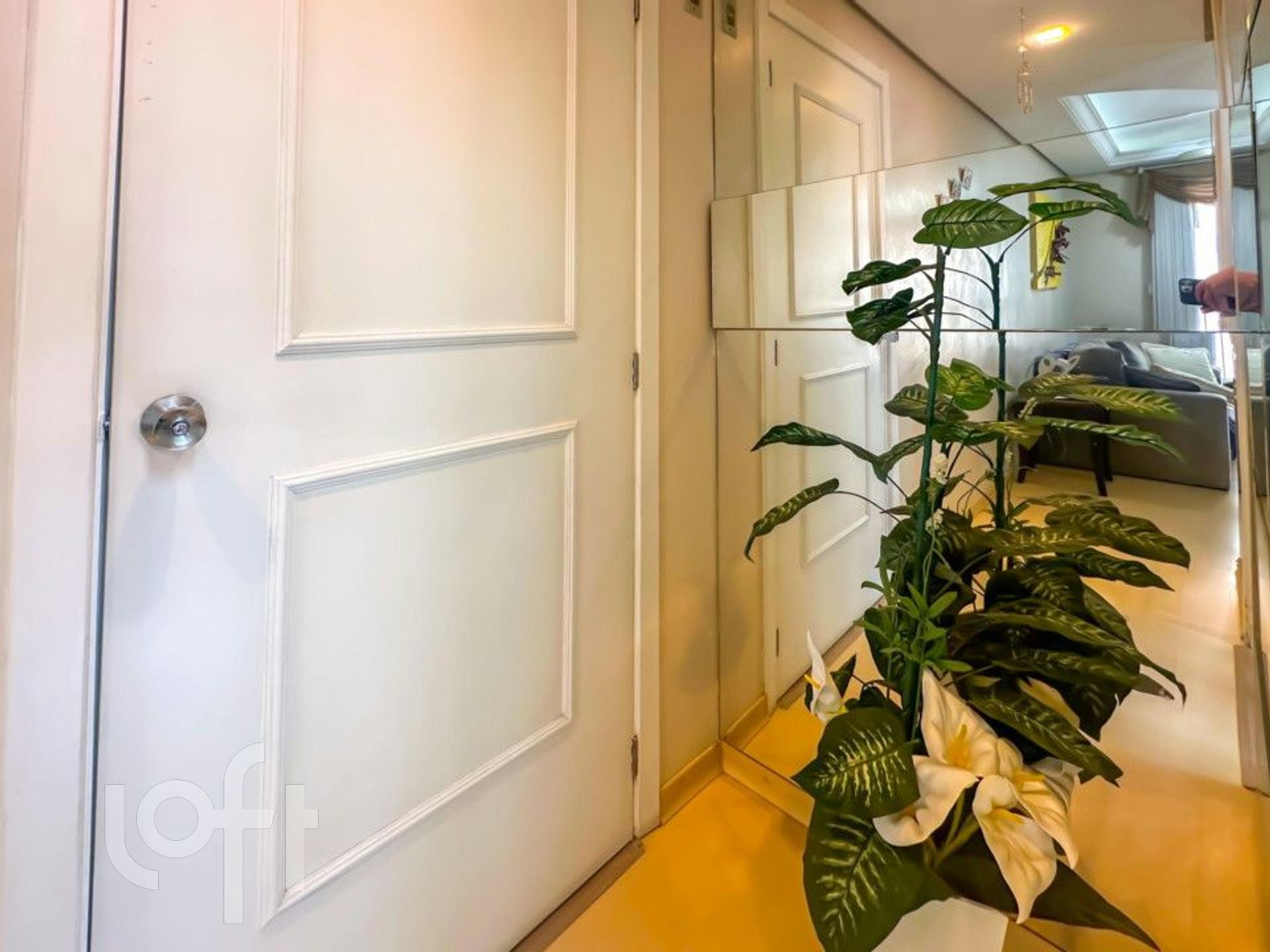 Imagem da propriedade 11