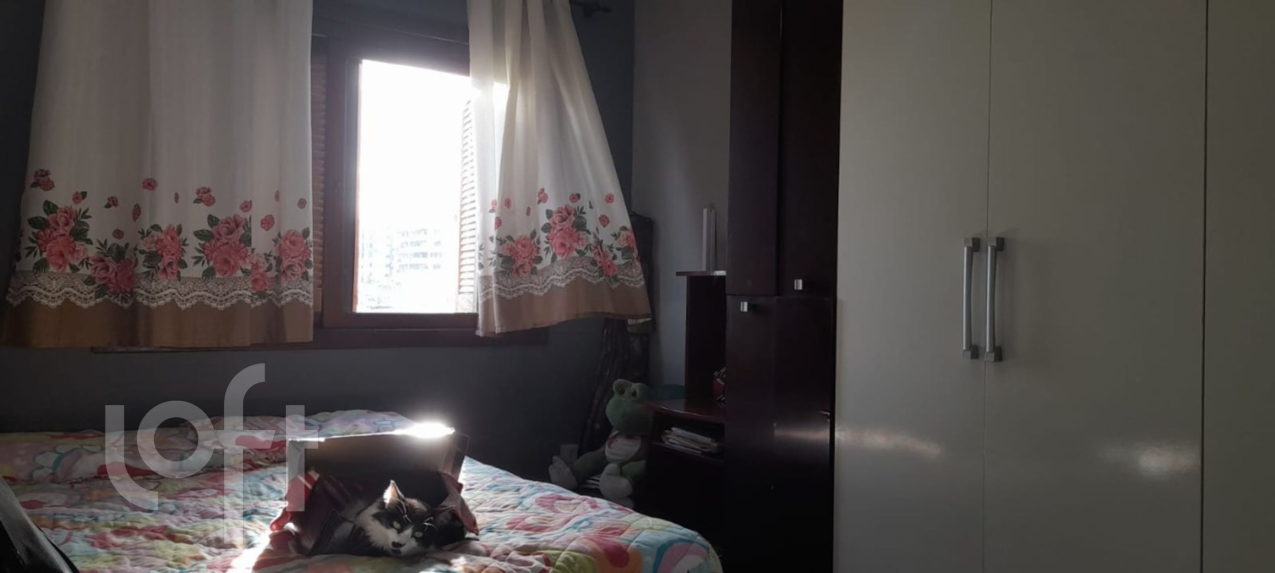 Imagem da propriedade 13