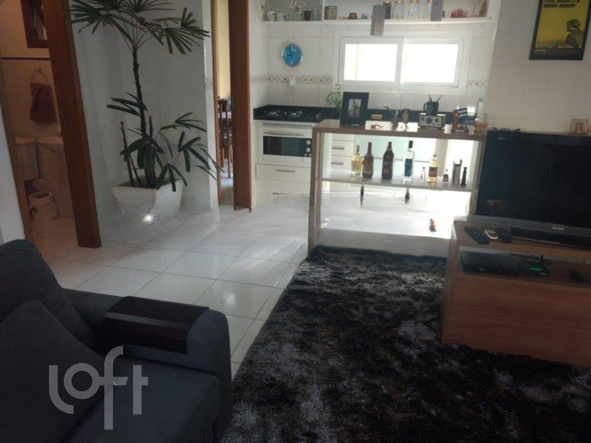 Imagem da propriedade 7