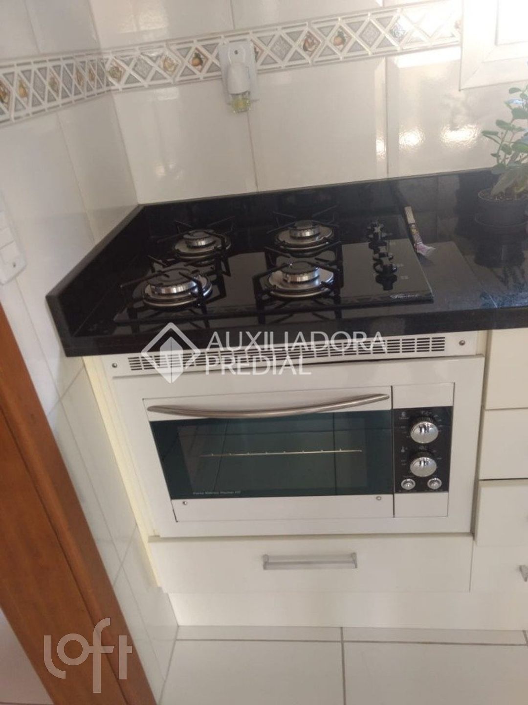 Imagem da propriedade 13