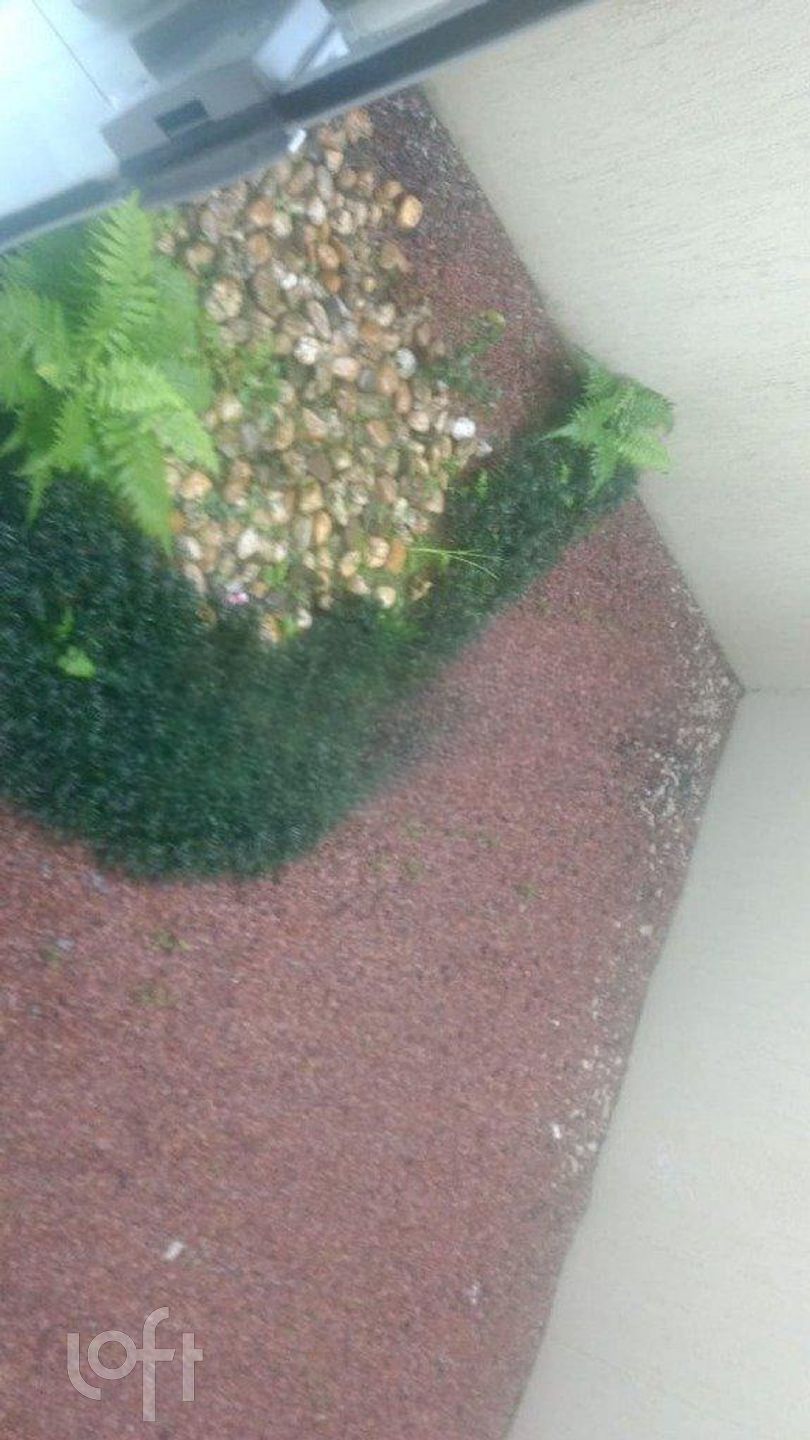 Imagem da propriedade 29