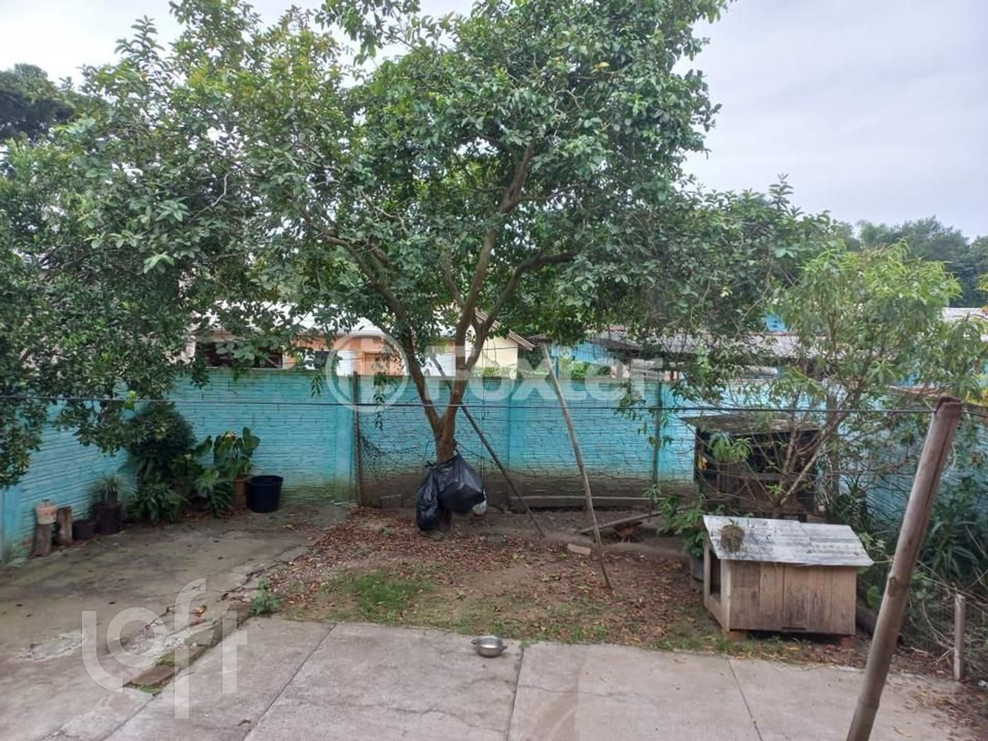 Imagem da propriedade 22