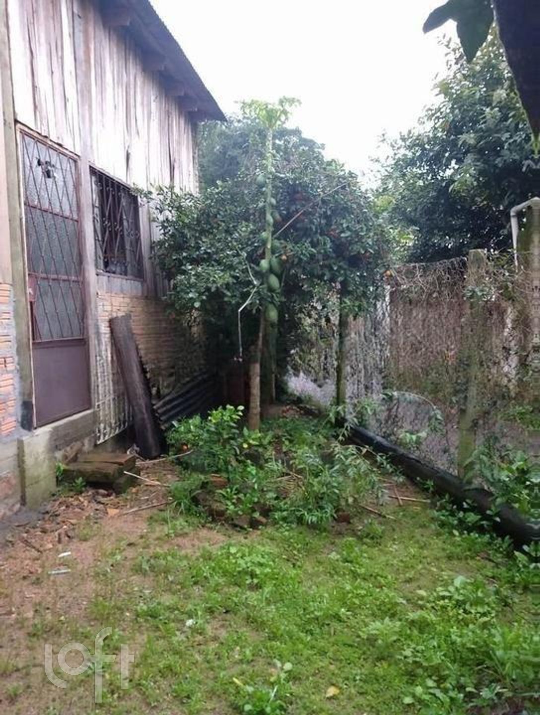 Imagem da propriedade 14