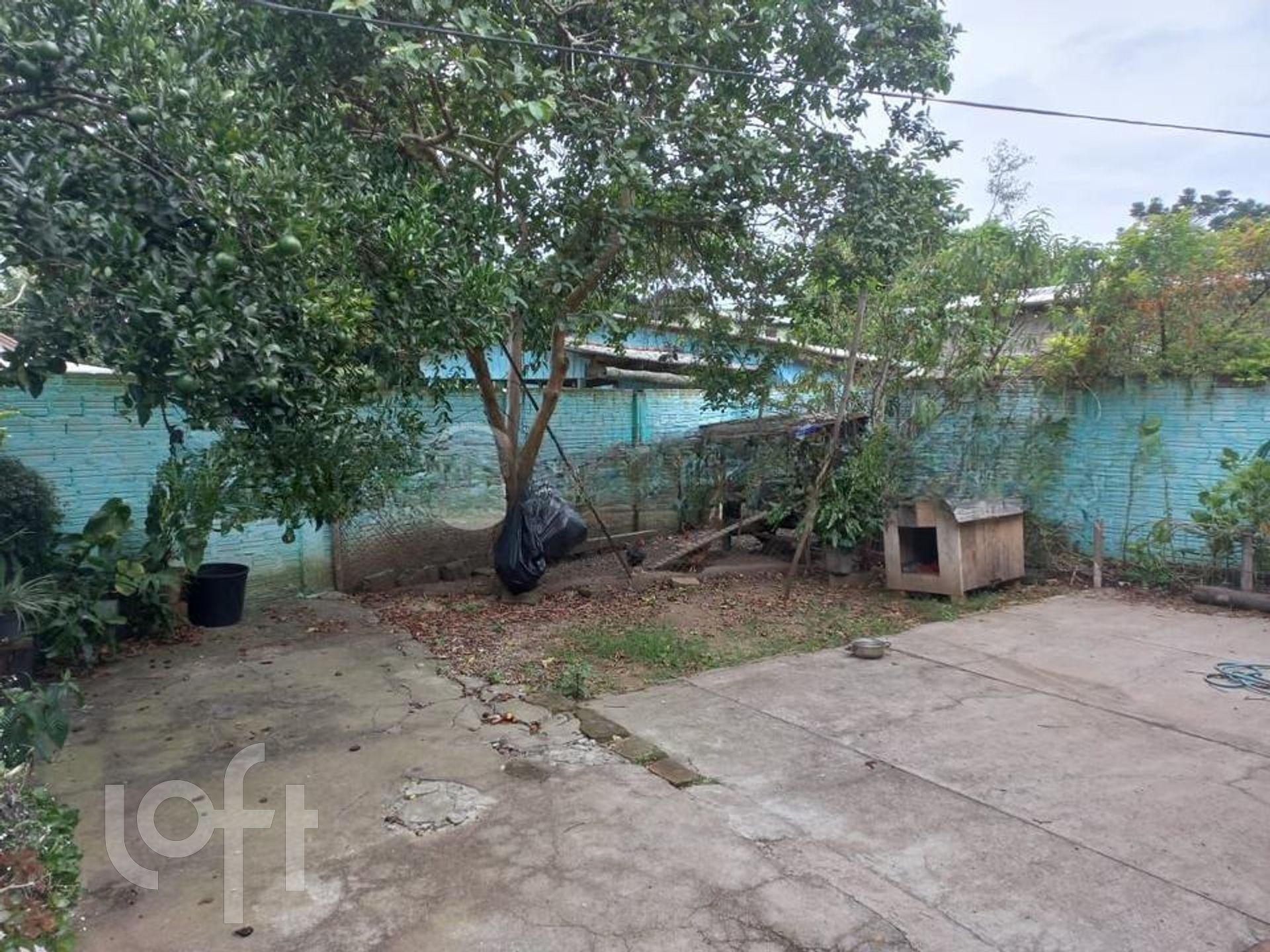 Imagem da propriedade 21