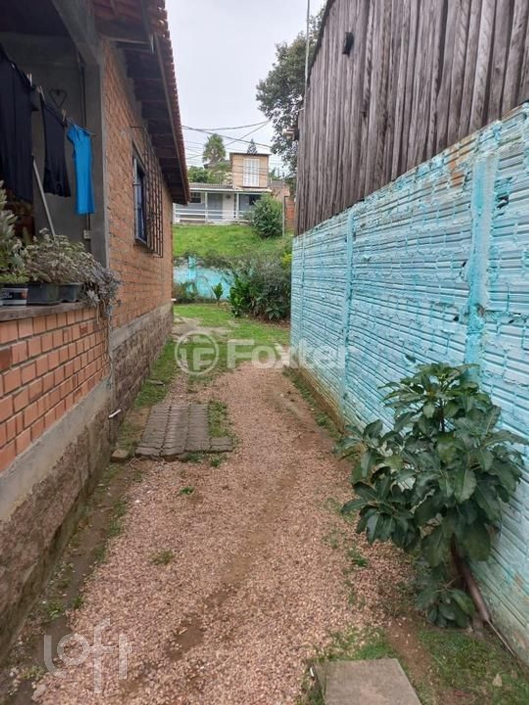 Imagem da propriedade 15