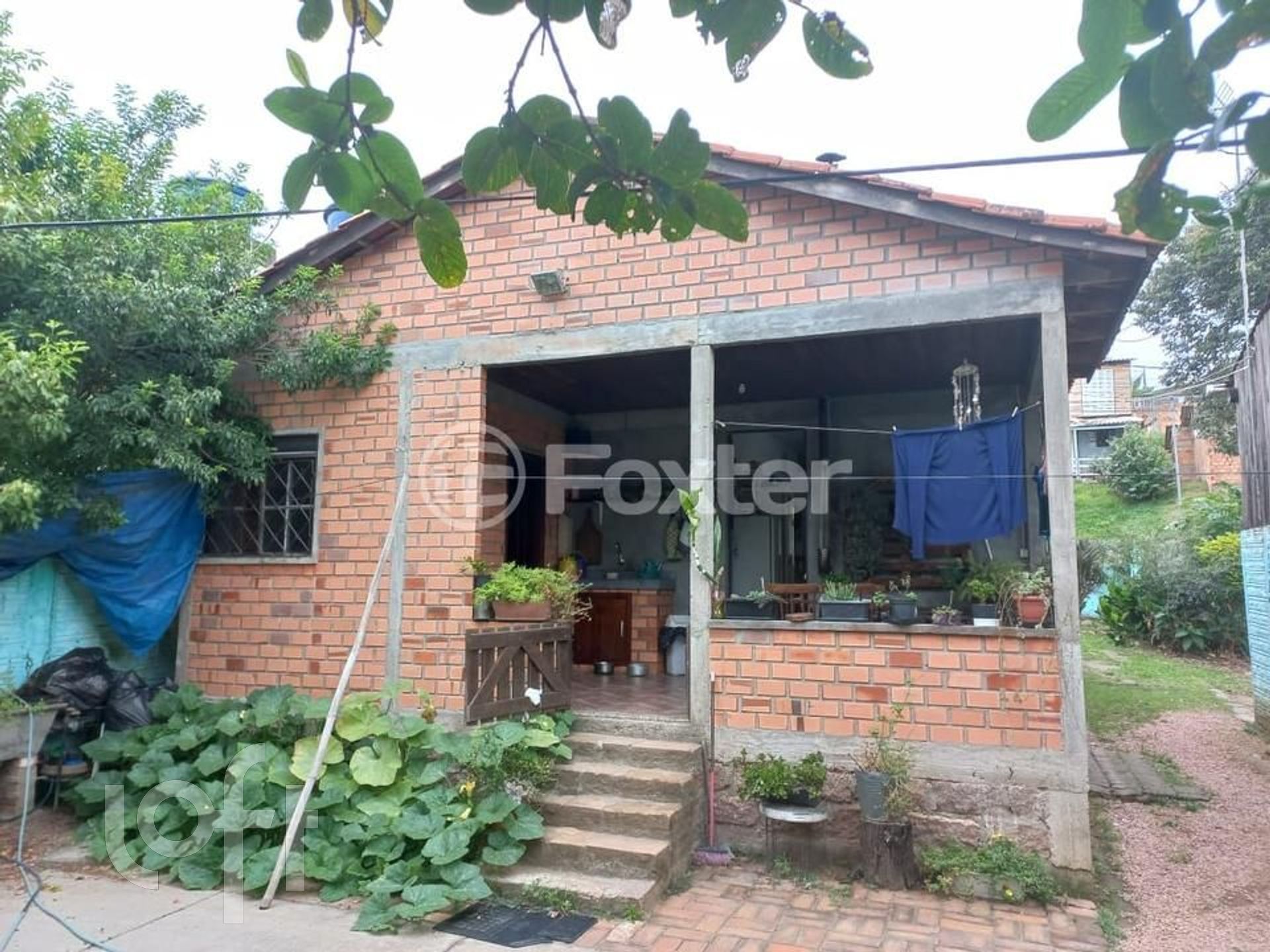 Imagem da propriedade 20