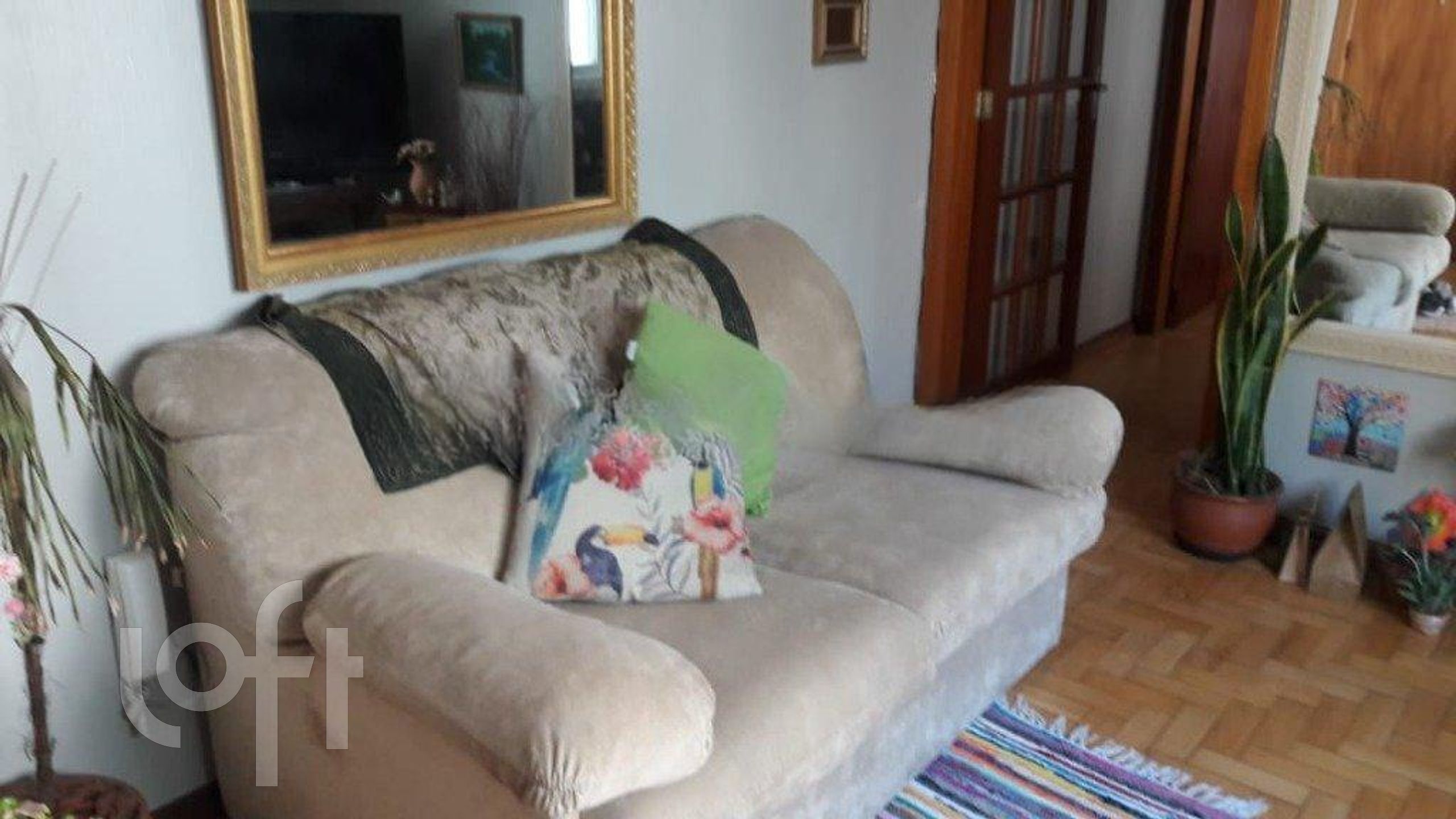 Imagem da propriedade 12