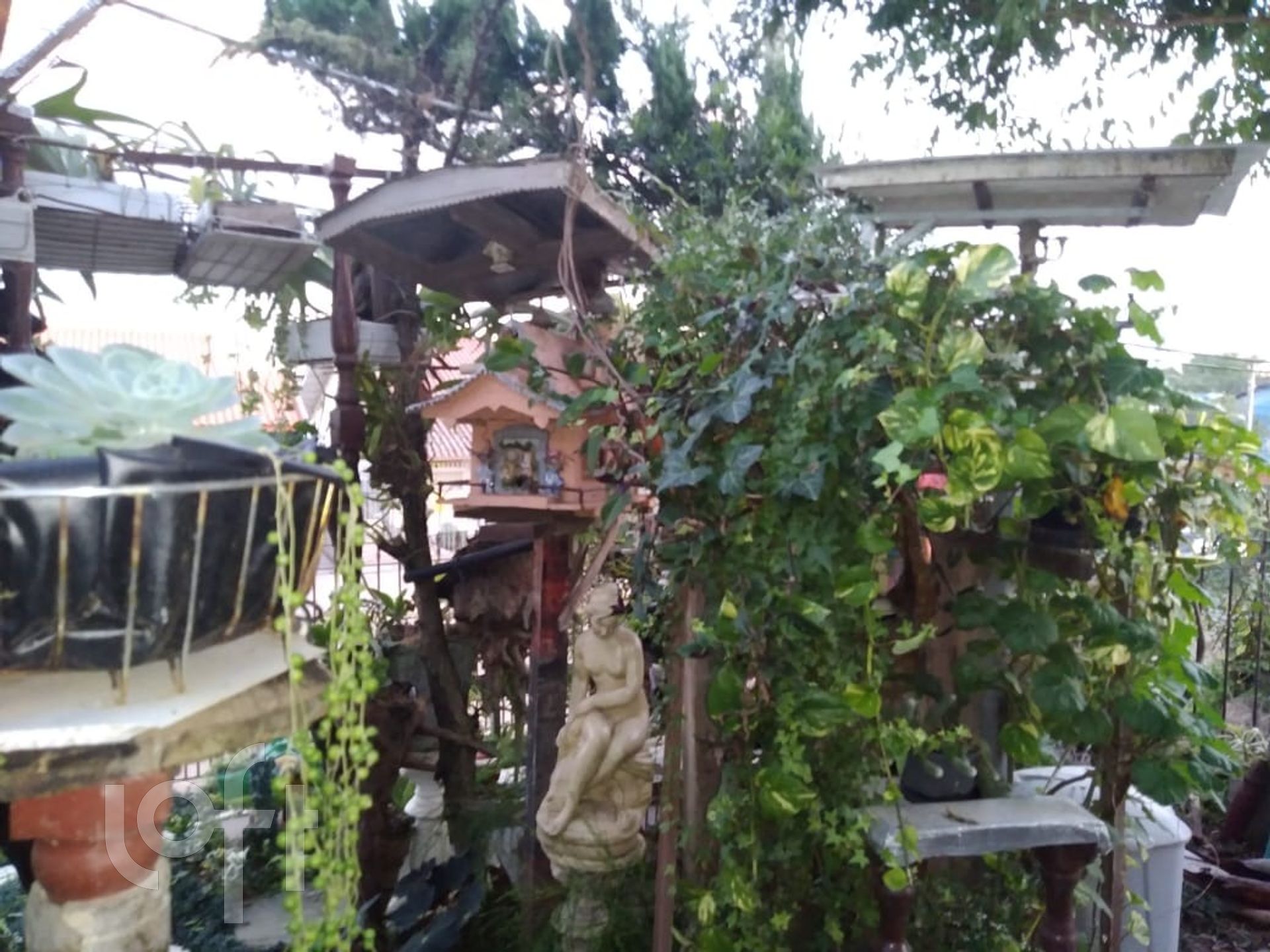 Imagem da propriedade 37