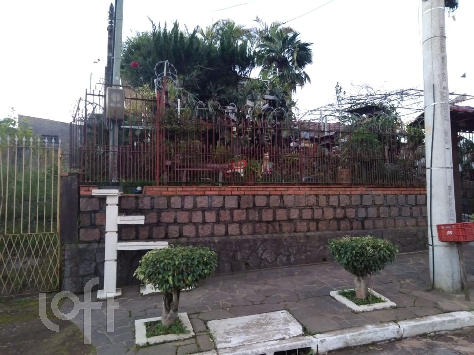 Imagem da propriedade 3