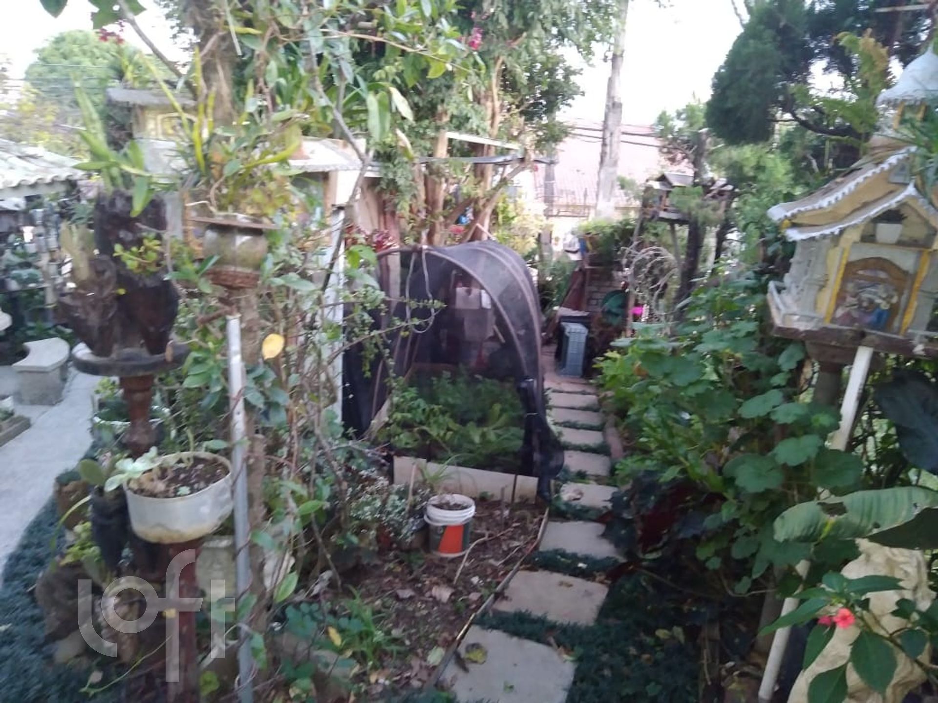 Imagem da propriedade 35