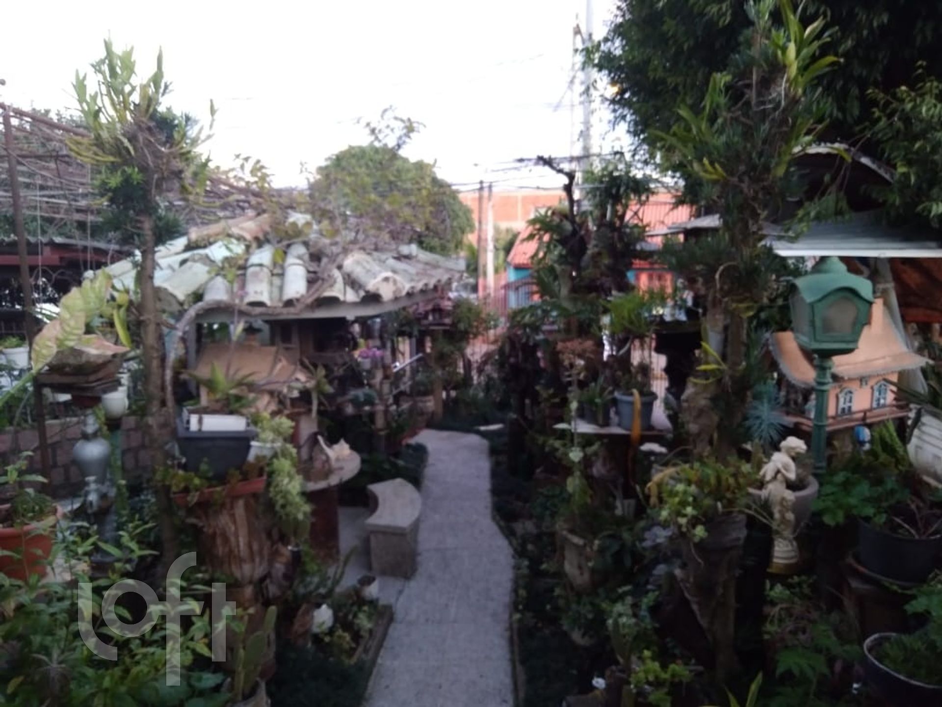 Imagem da propriedade 38