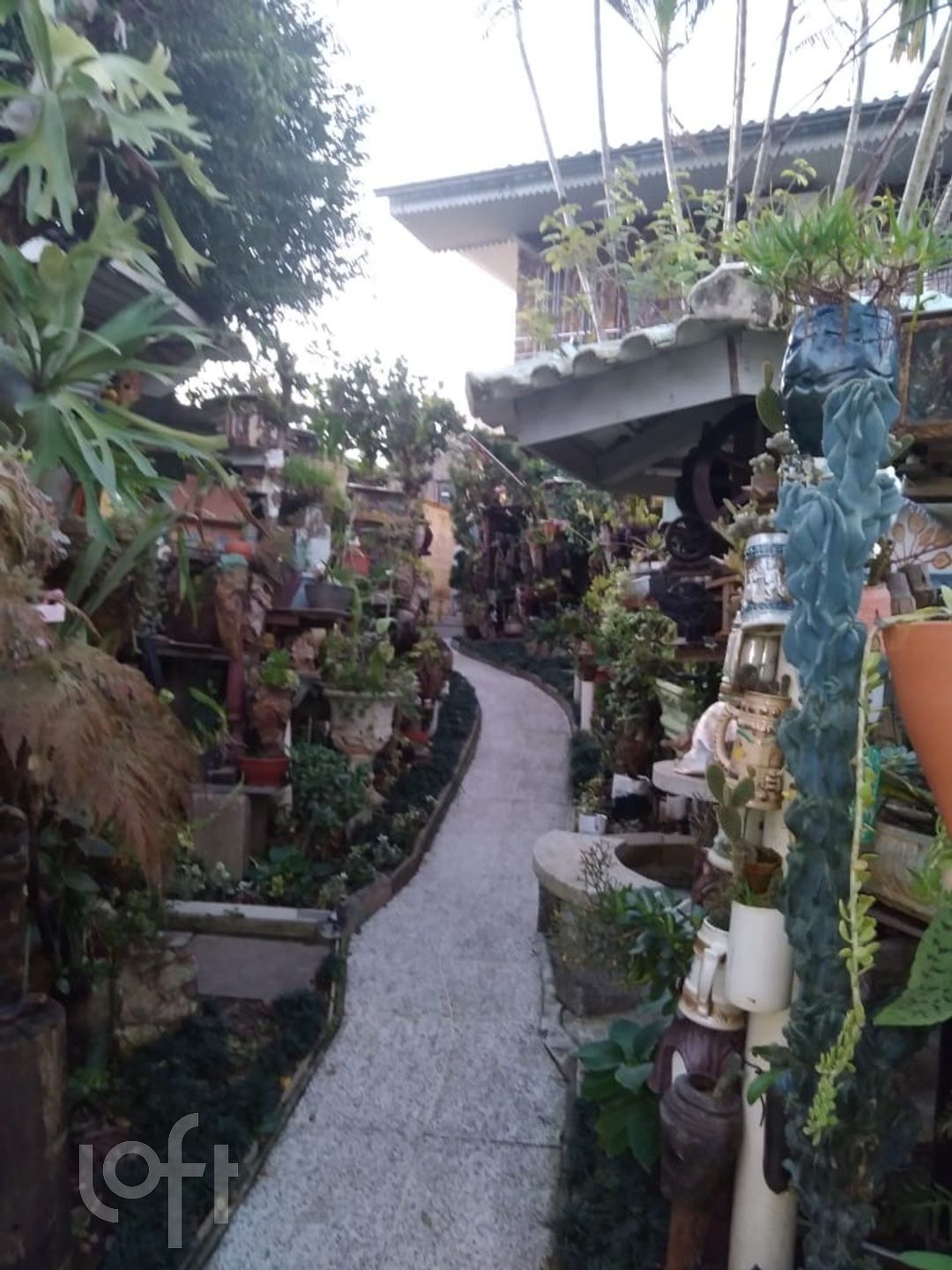 Imagem da propriedade 33