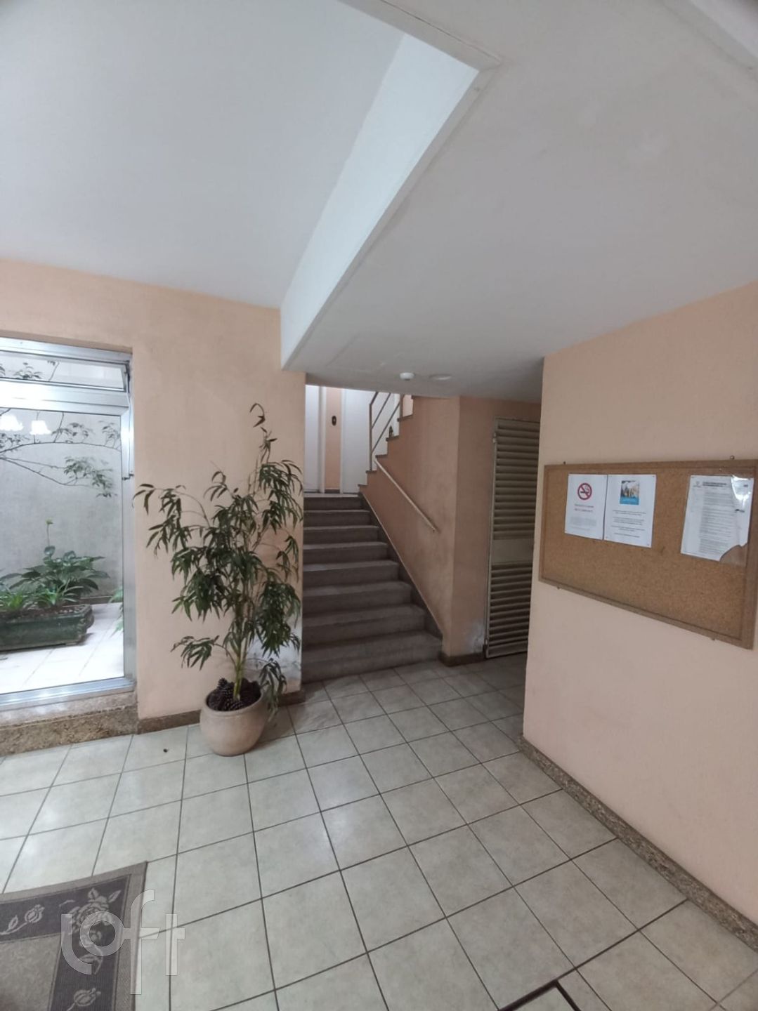 Imagem da propriedade 3