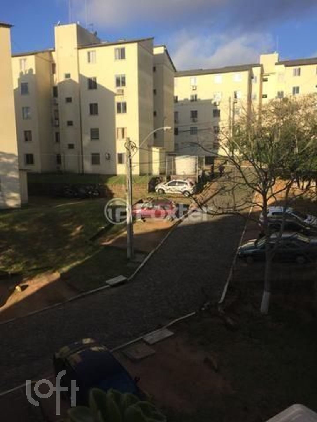 Imagem da propriedade 8