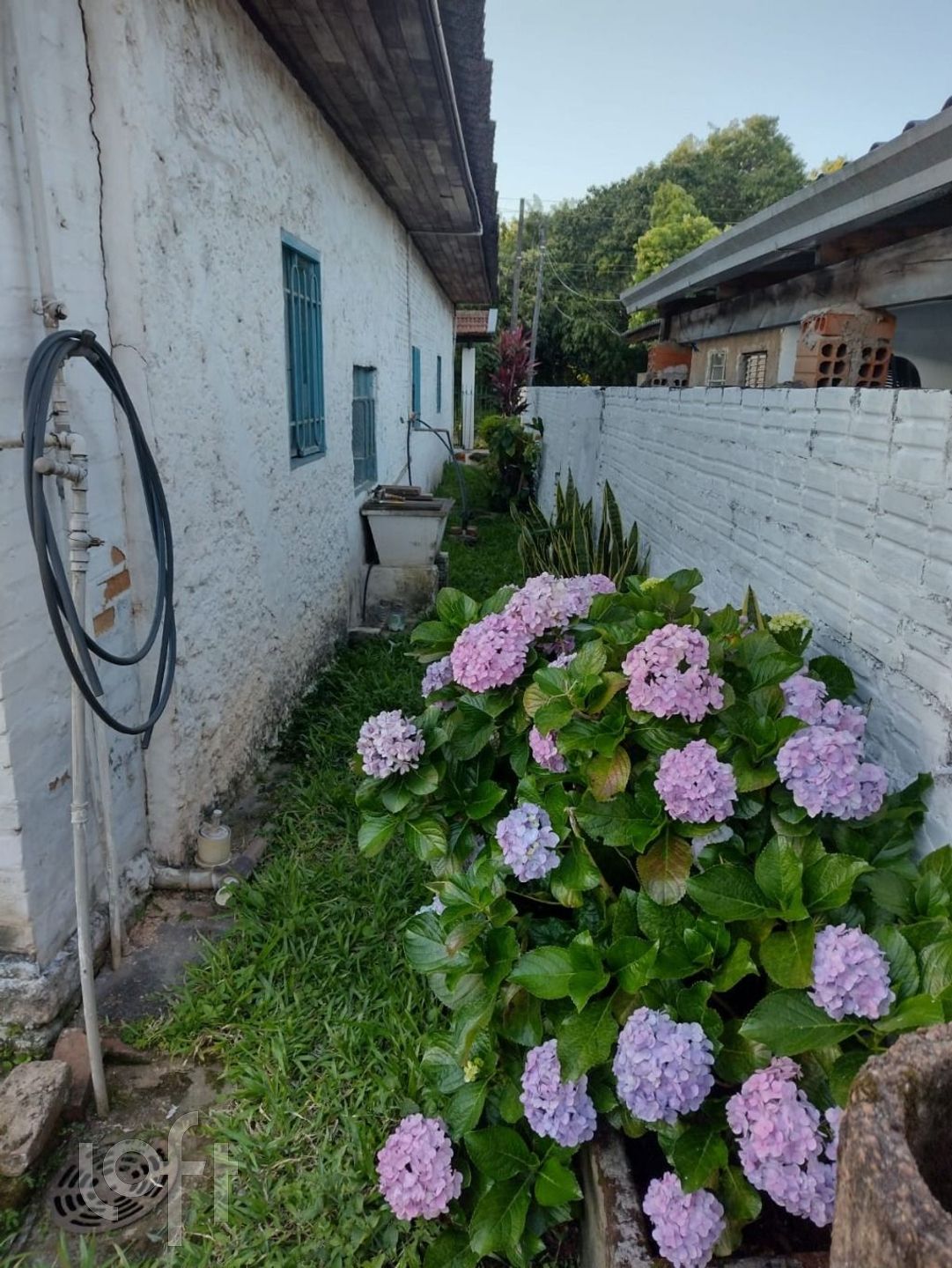 Imagem da propriedade 6